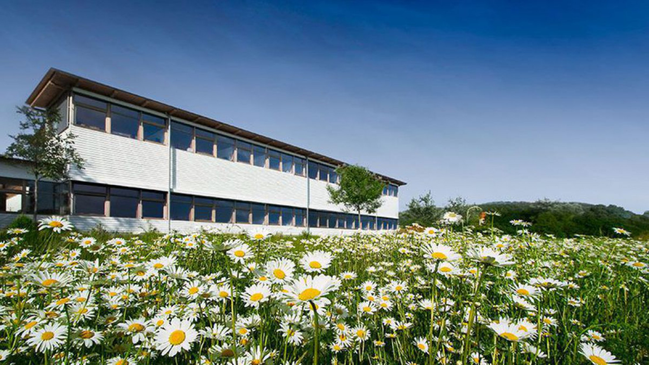 Begr&uuml;ntes Firmengel&auml;nde