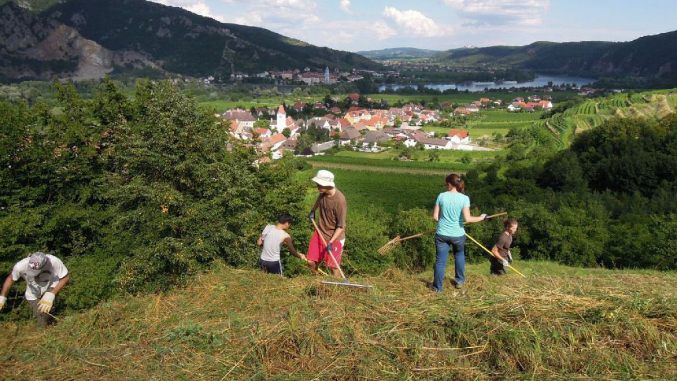 Pflegeeinsatz Kreuzberg