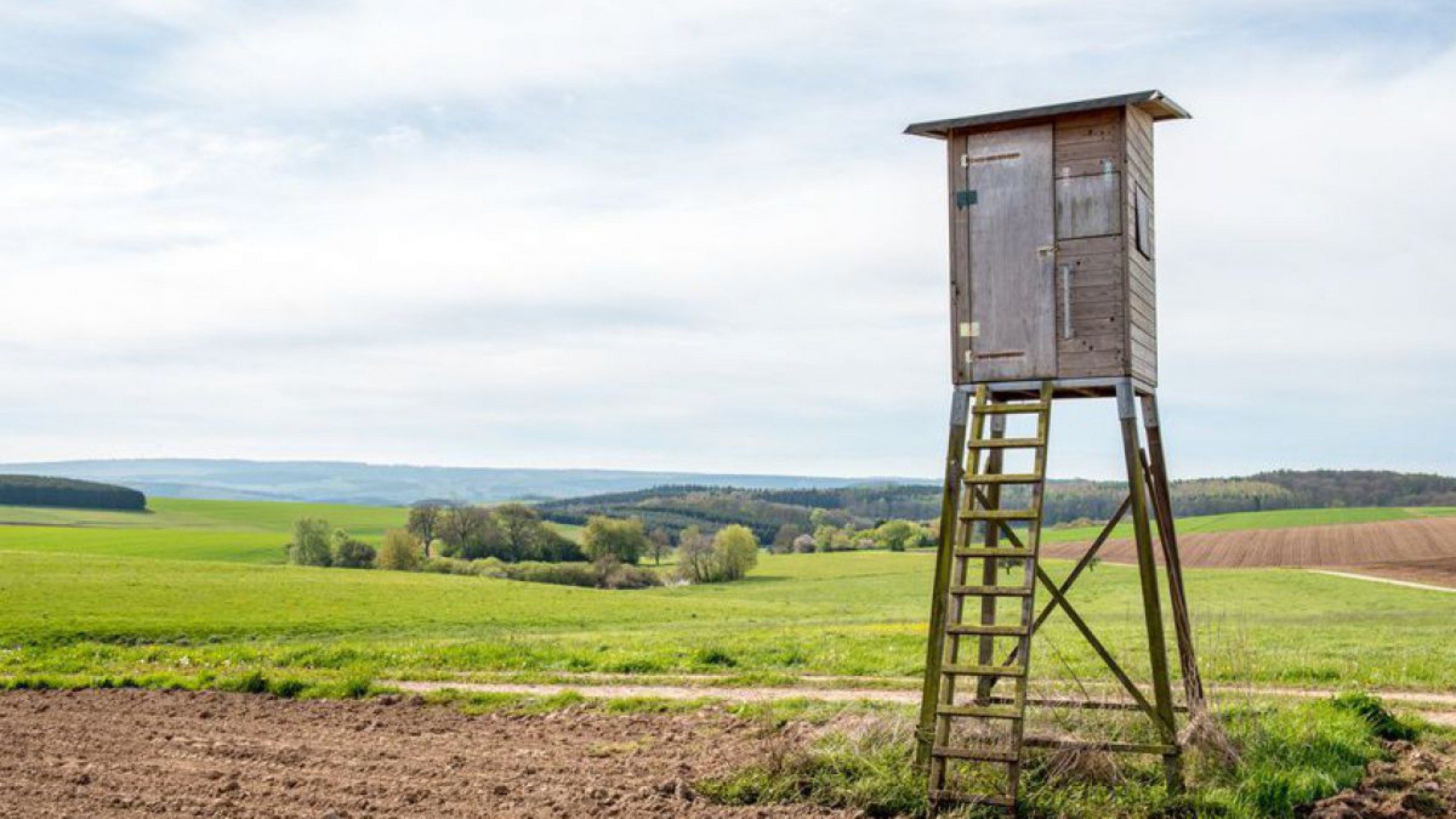 hochsitz_fotolia_158834645_s_photogrevy