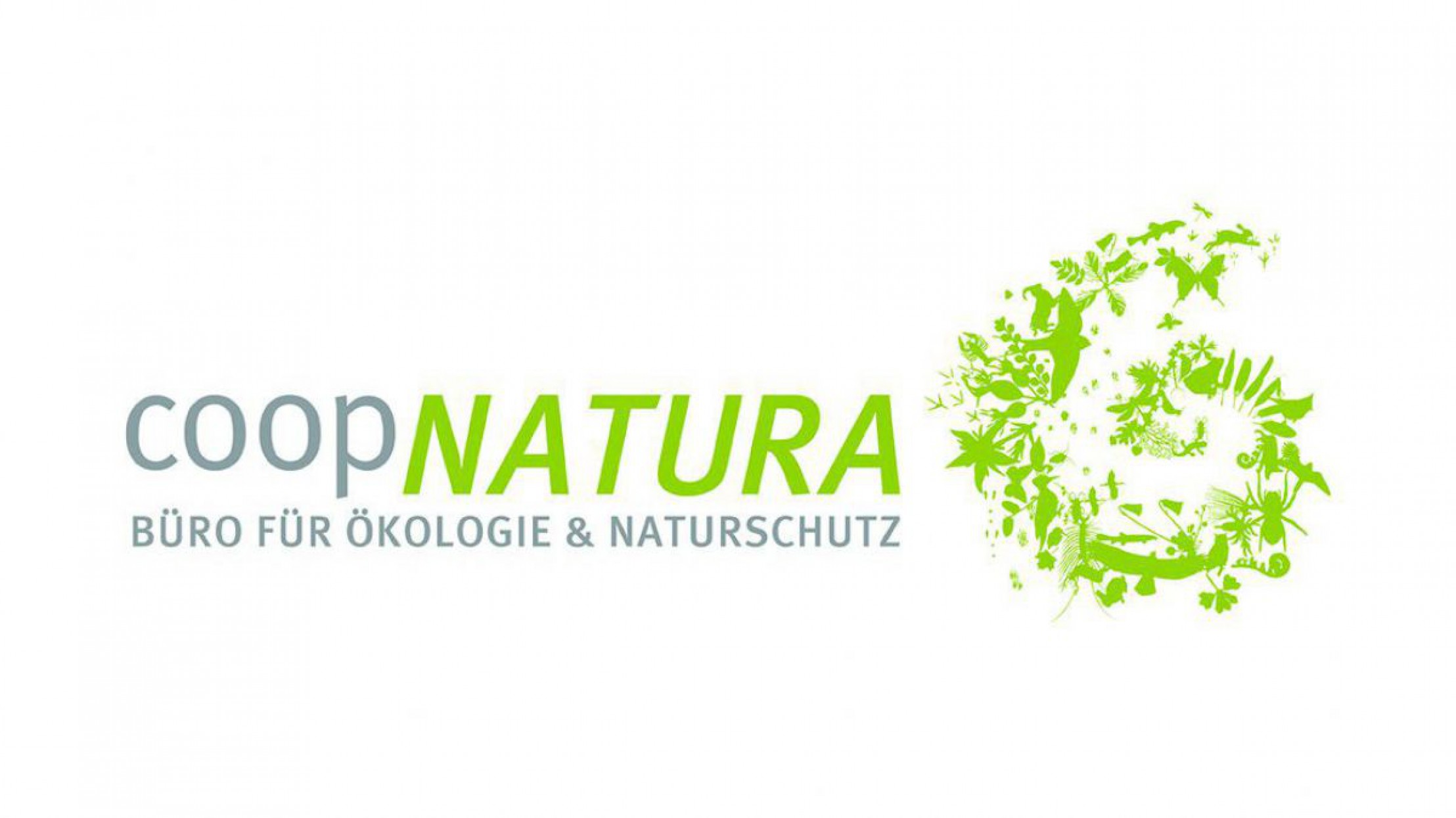 logo-coopnatura