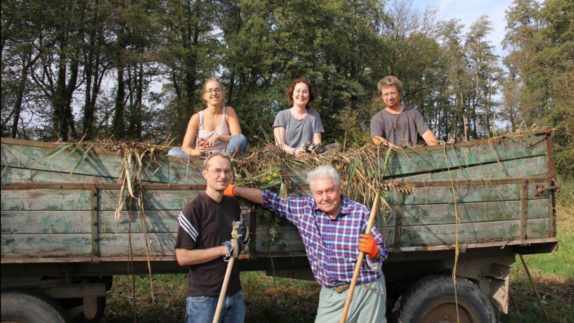 Pflegeeinsatz mit Freiwilligen zielte darauf ab, die aufgrund  fehlender Wiesennutzung massiv eingewanderte Goldrute zur&uuml;ckzudr&auml;ngen. 