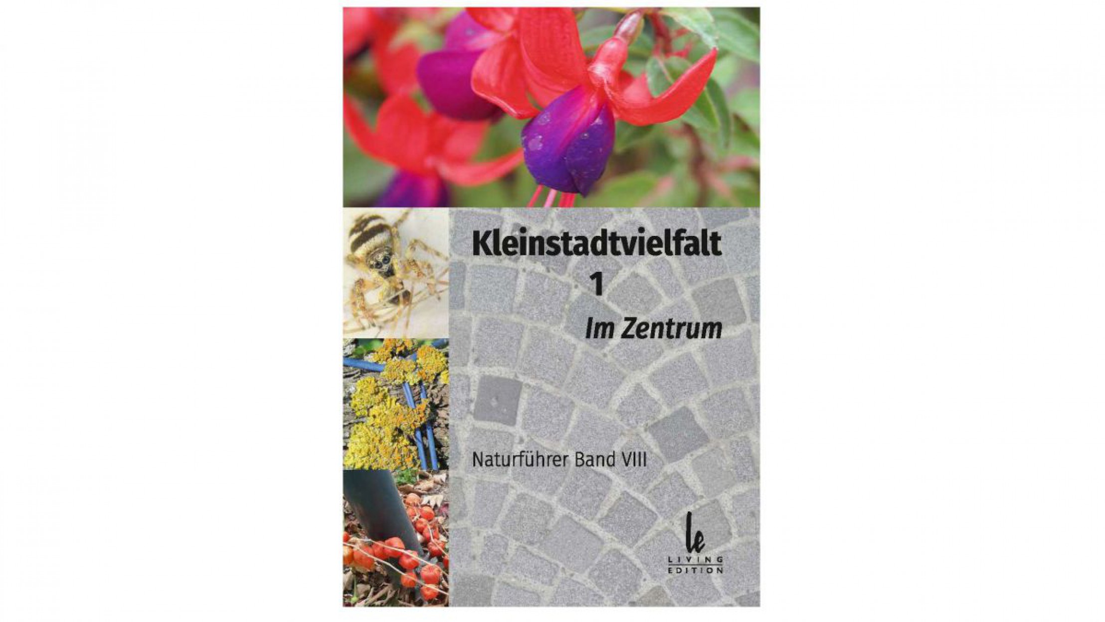 cover_kleinstadtvieflat