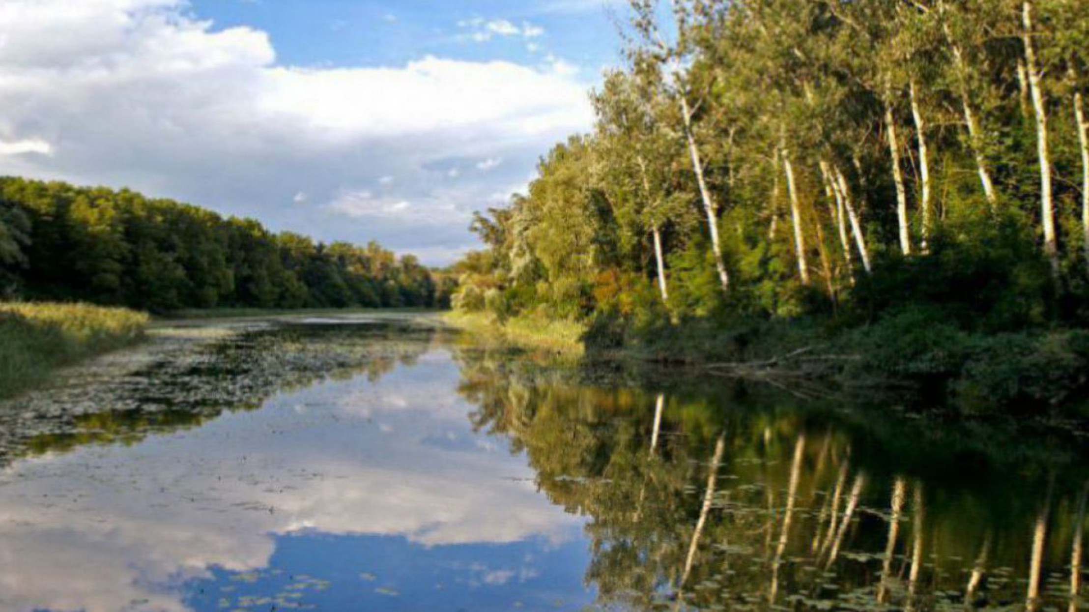 Altarm im Nationalpark Donau-Auen