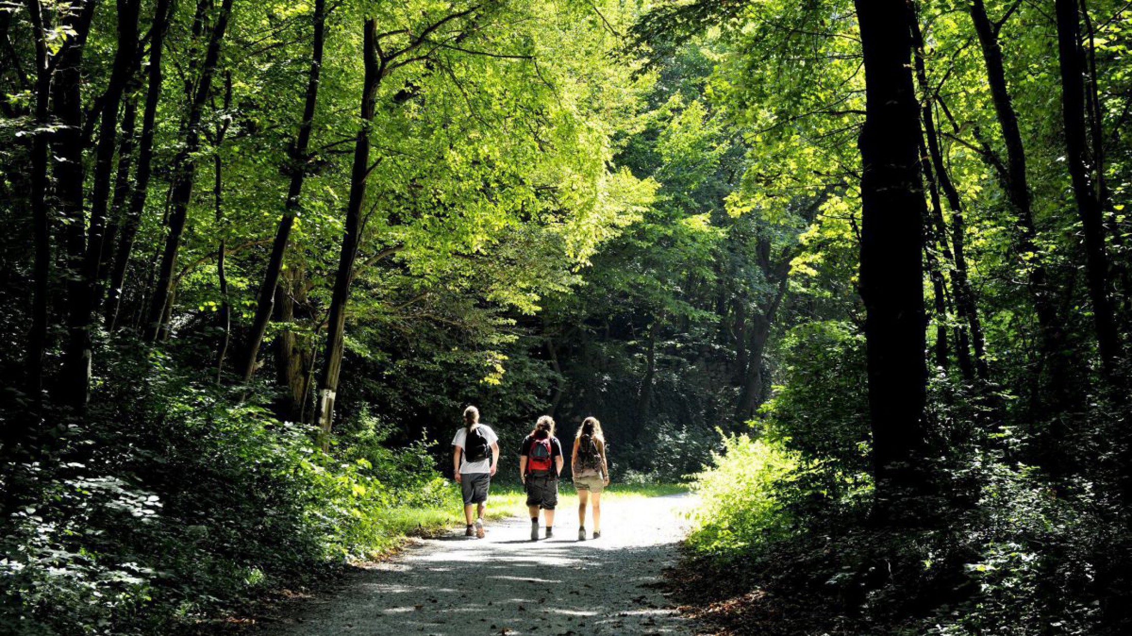 Wanderungen durch Landschaften mit Geschichte sind besonders kurzweilig.