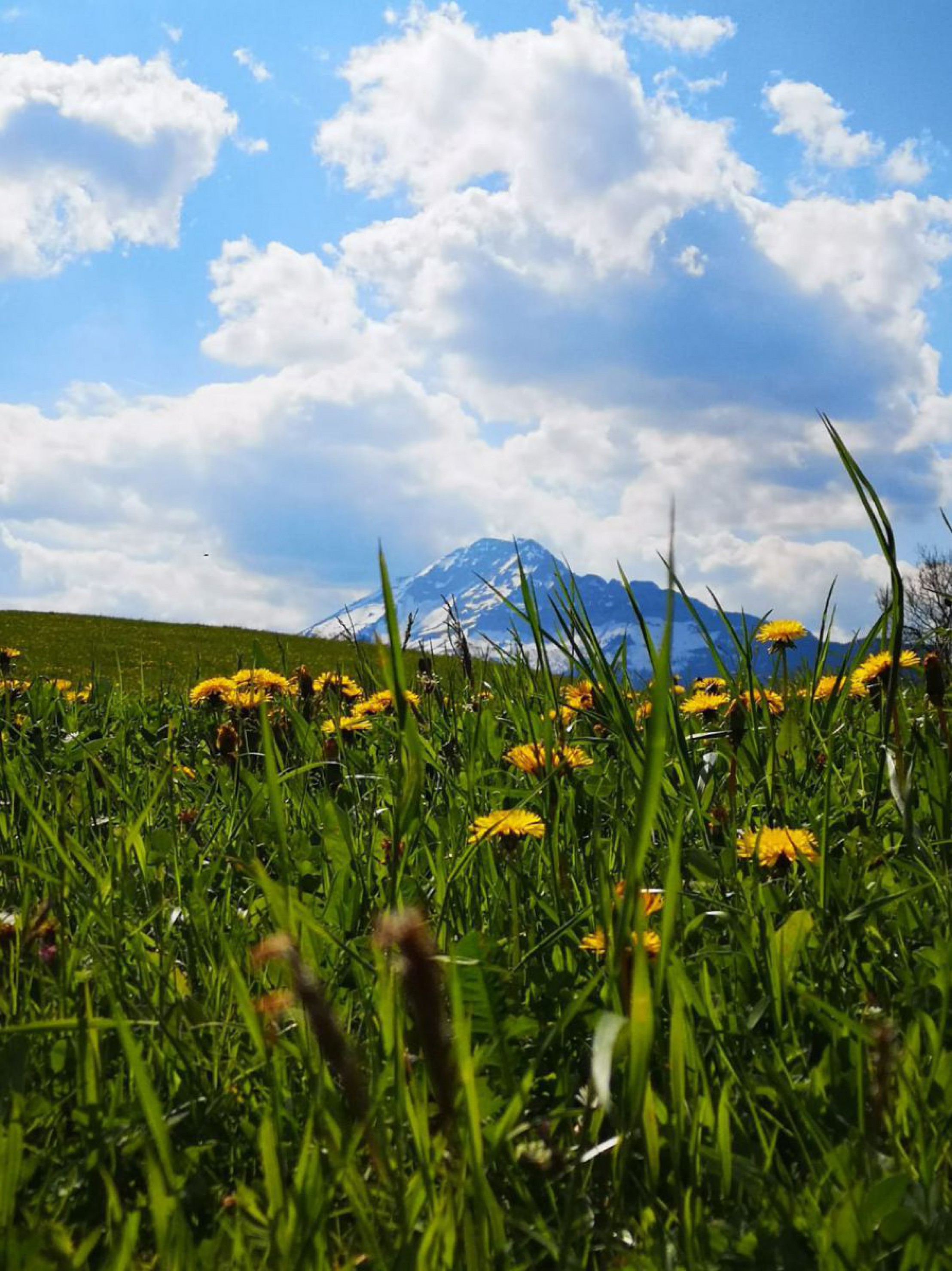 Wanderung &Ouml;tscher-Torm&auml;uer 24. Mai 2019