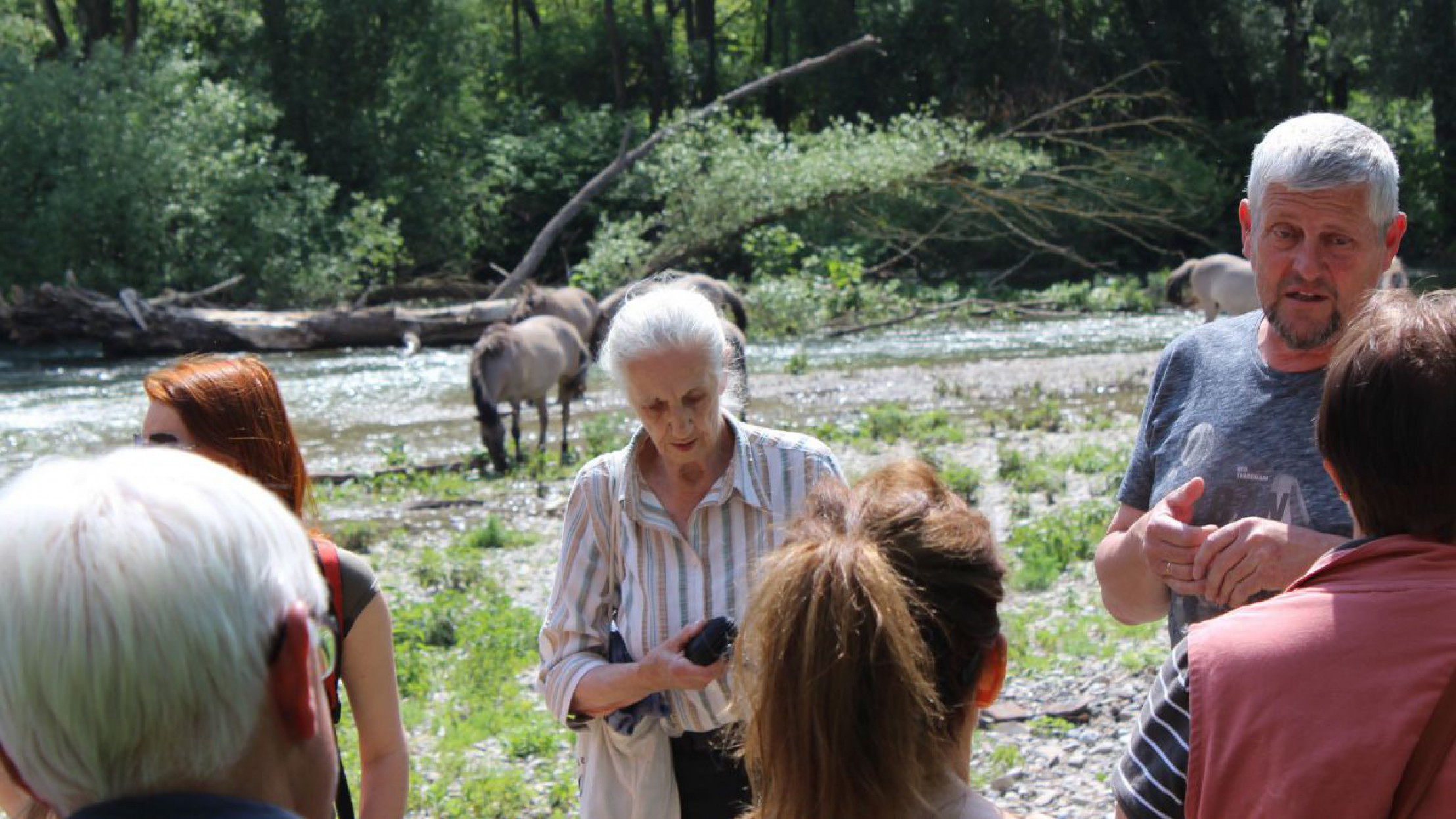 Wanderung Pielach-Ofenloch am 24. Mai 2019