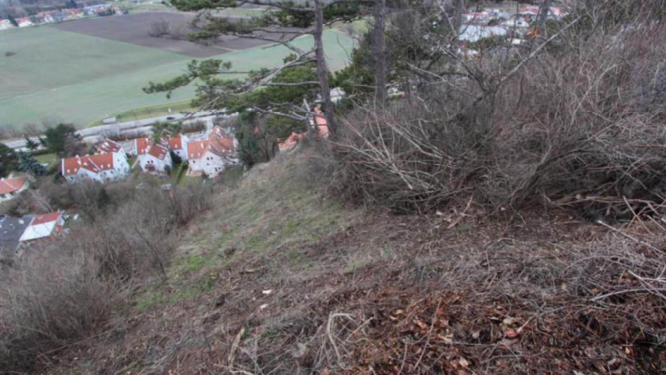 Pflegearbeiten Bisamberg 2017