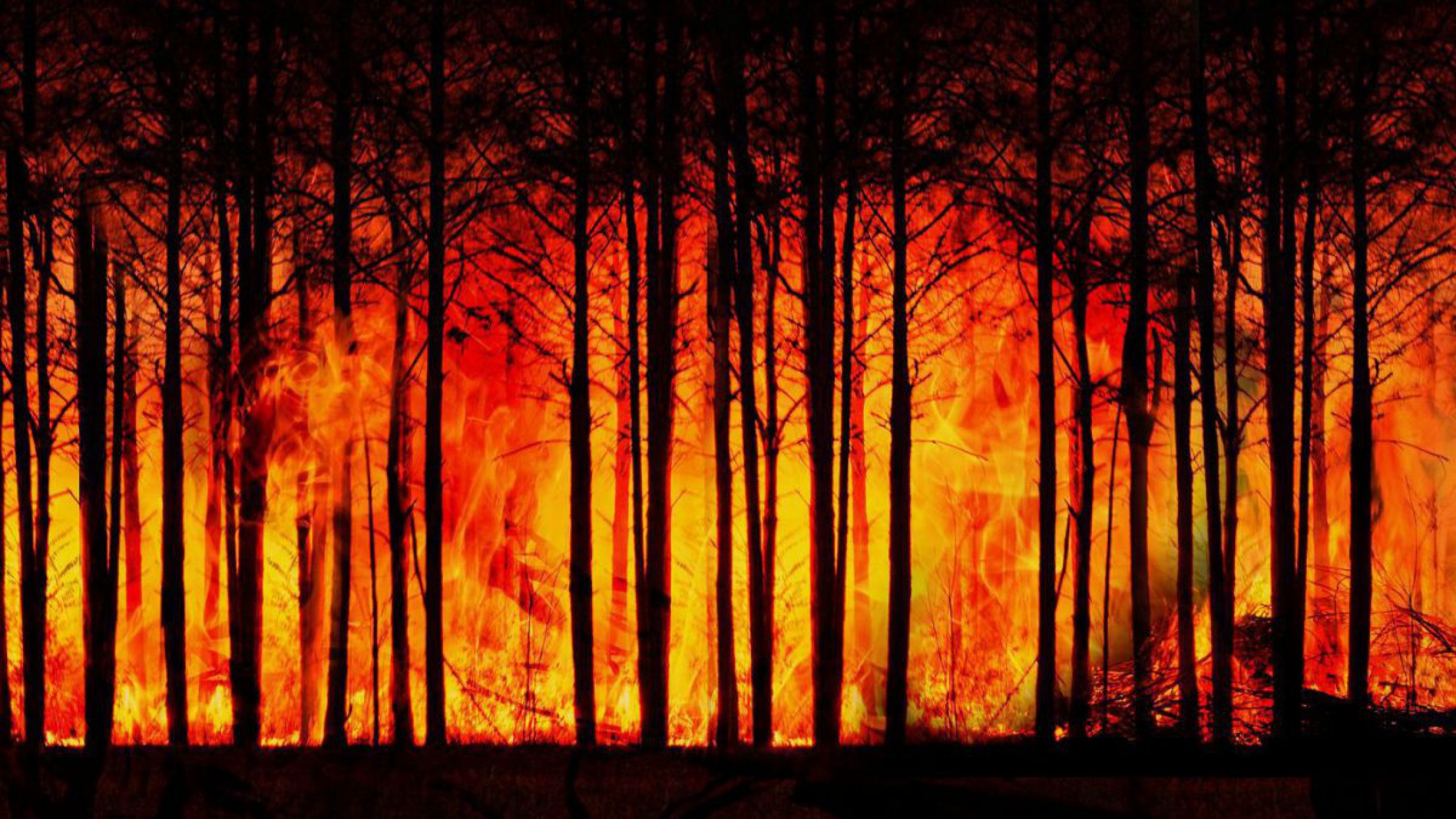 Waldbrand