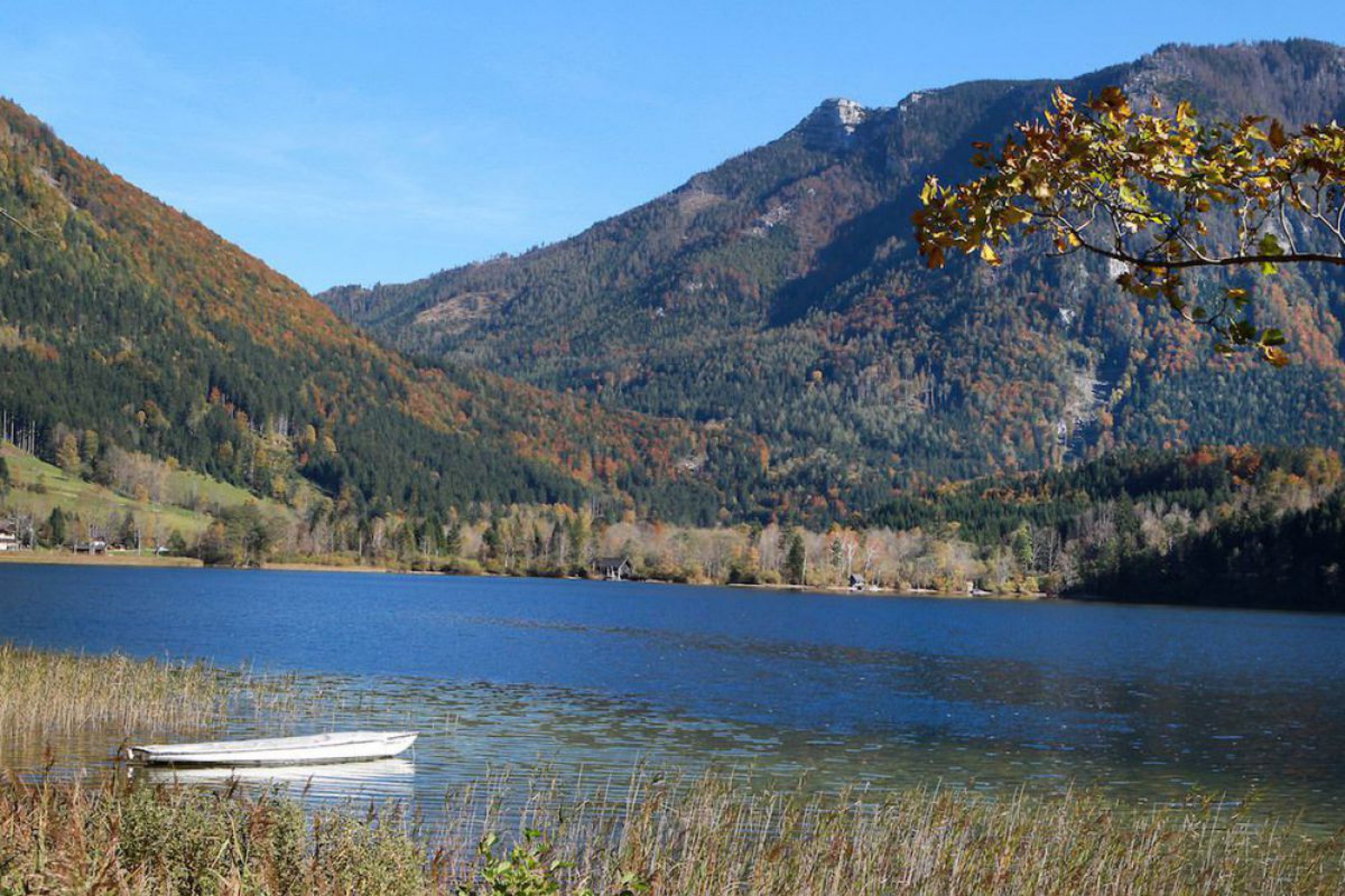 Der Lunzersee im Herbst