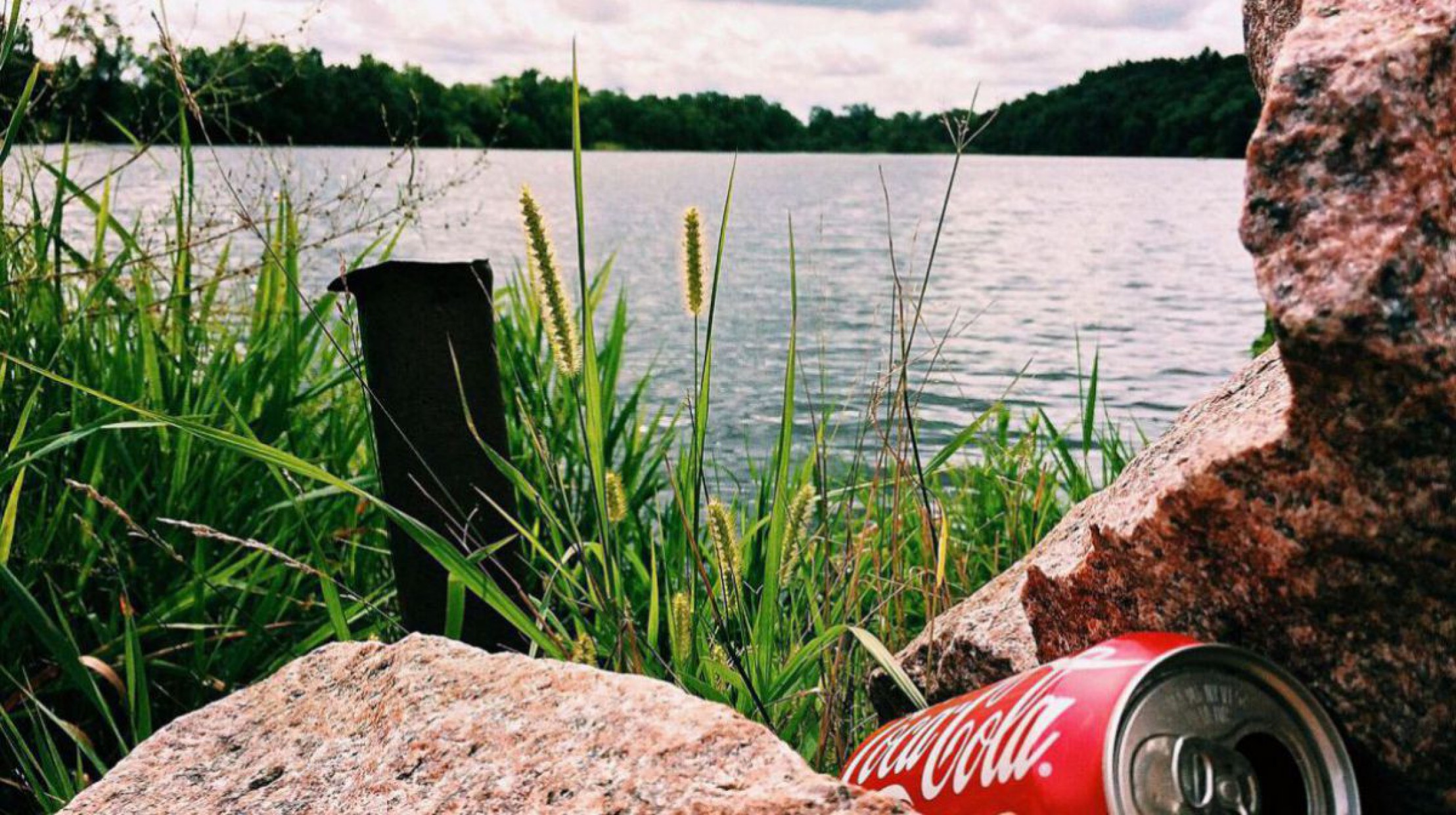 Coladose an einem Seeufer zwischen Steinen