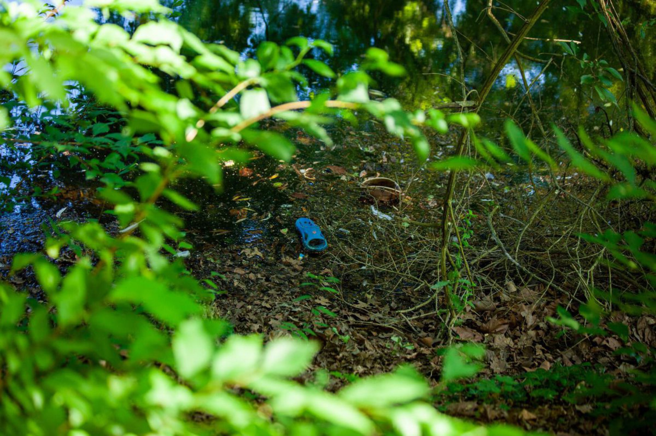 M&uuml;ll an einem Seeufer