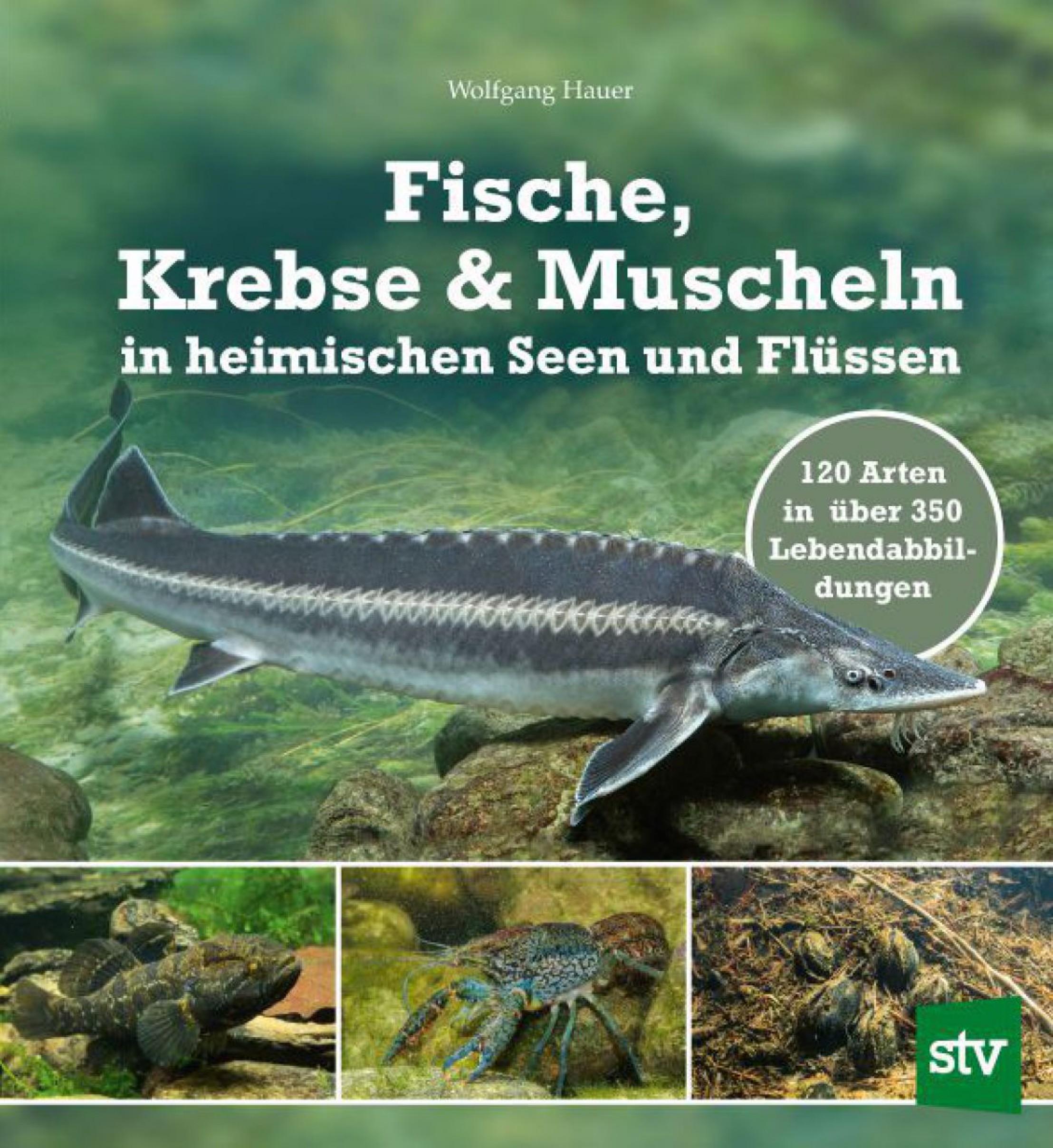 hauer-fische-krebse-muscheln_neu