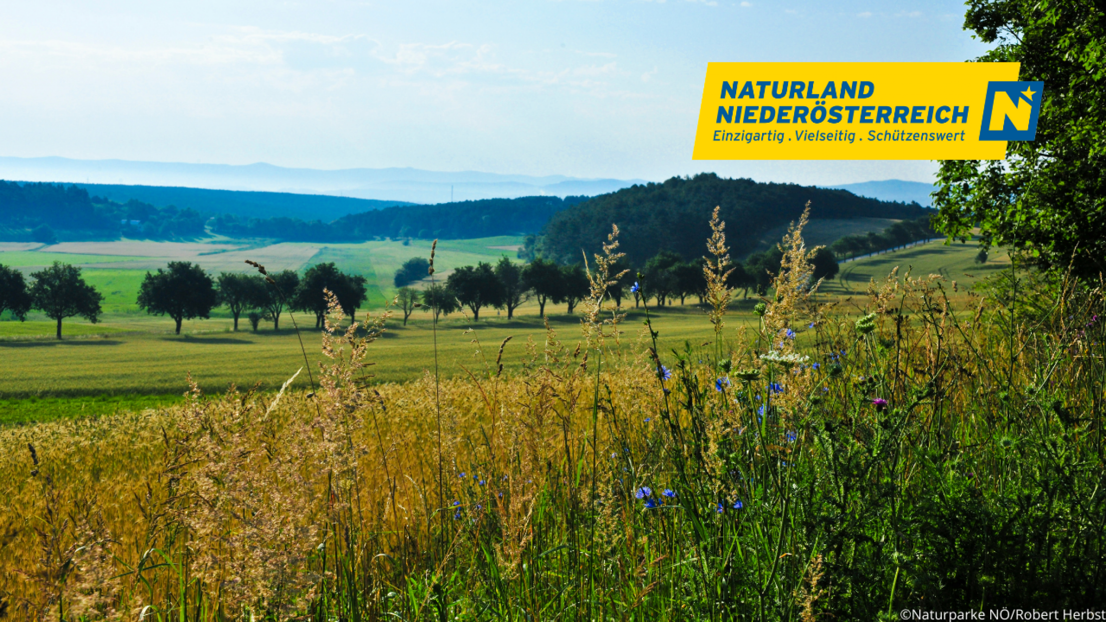 H&uuml;gelige Landschaft