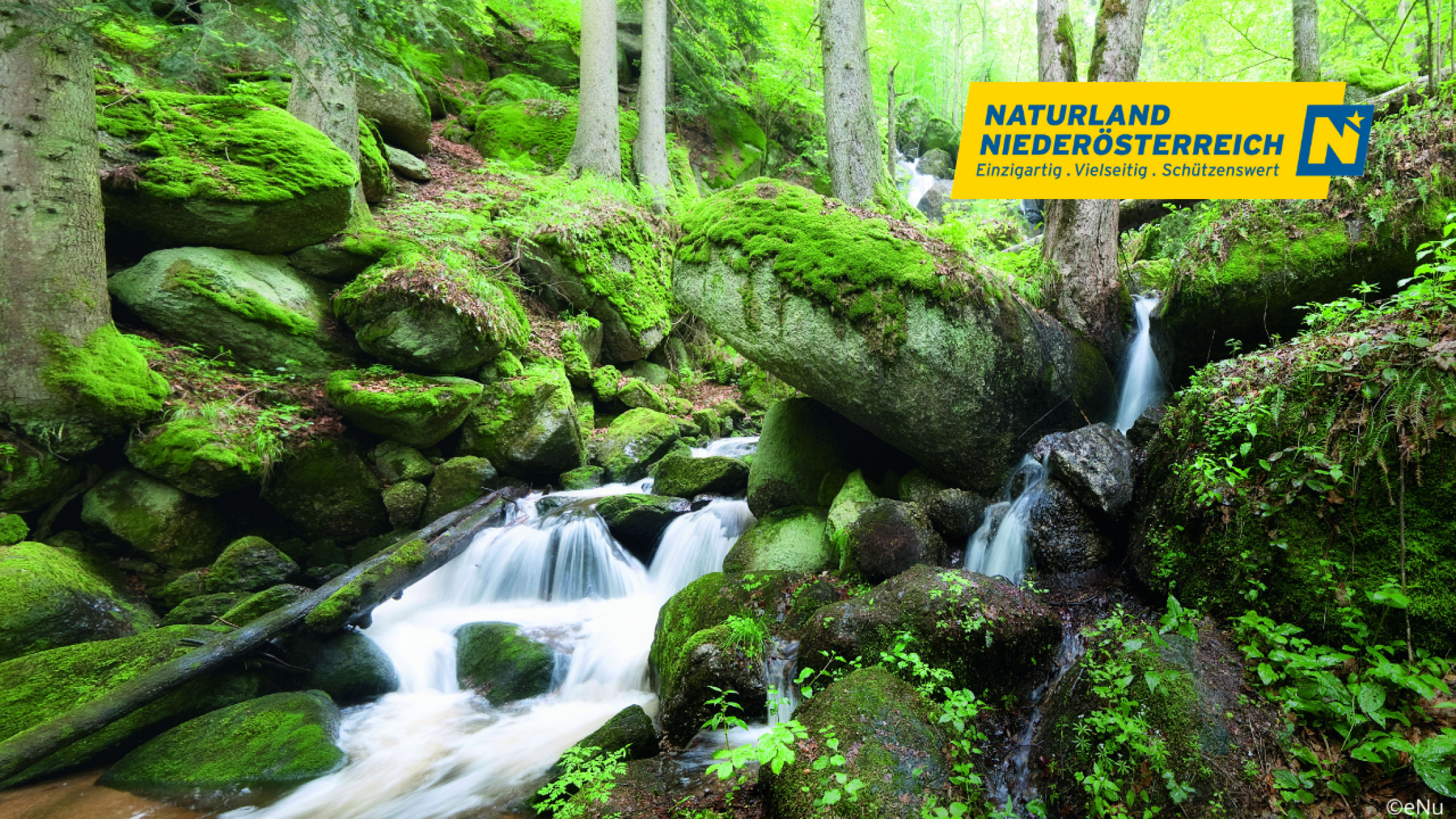 Wasserfall zwischen bemoosten Steinen
