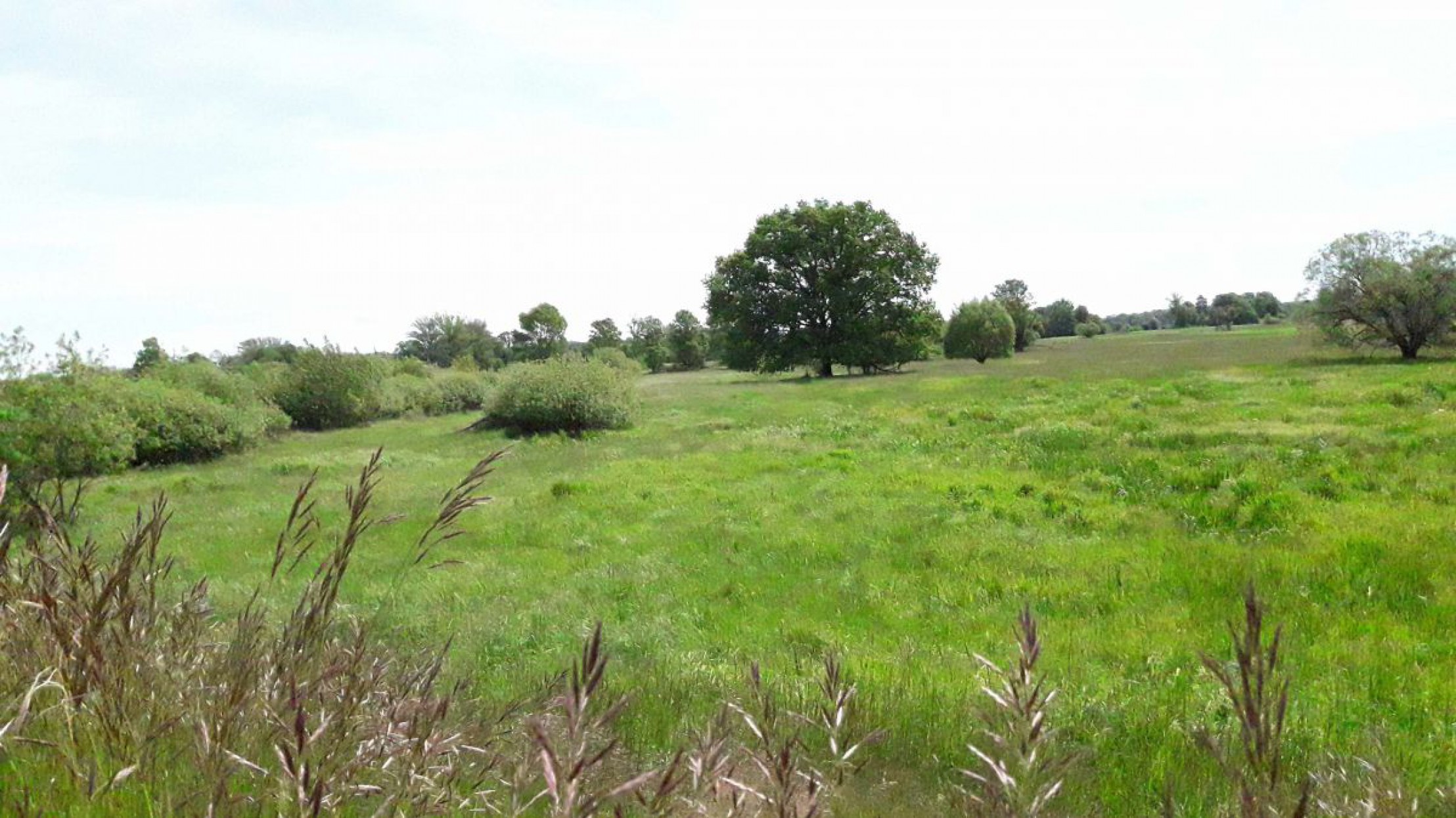 Wanderungen zu den N&Ouml; Natursch&auml;tzen 2021 - Rabensburg