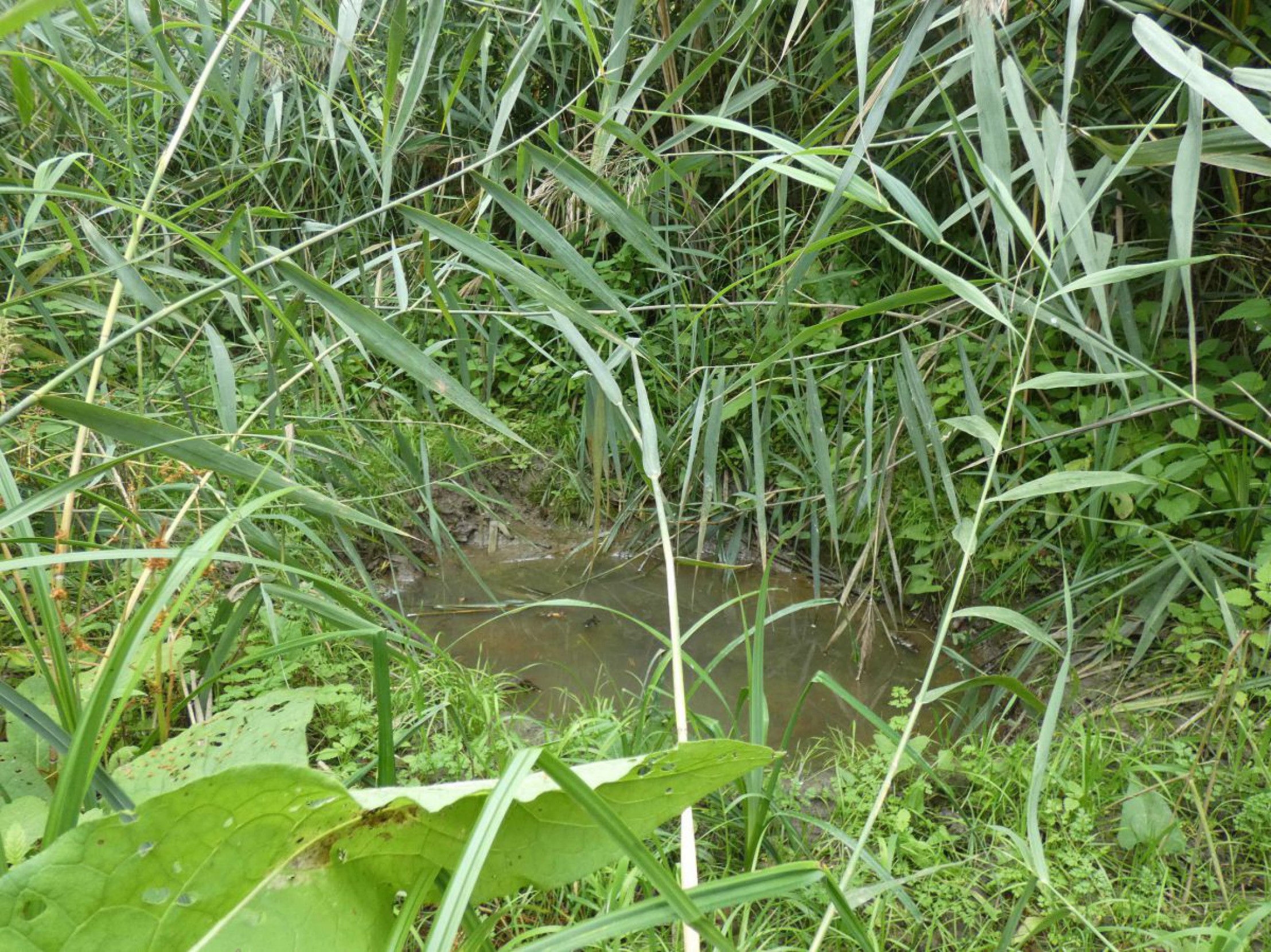 kleinodemta_24sept2021_csdietrich026