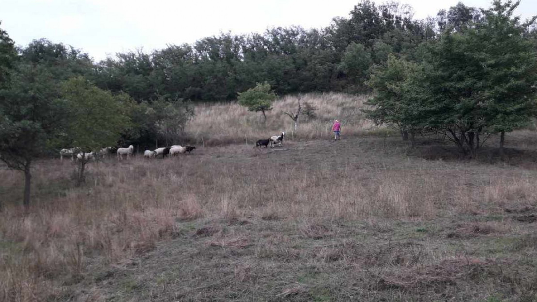 einsatz-zeiserlberg-08-2021