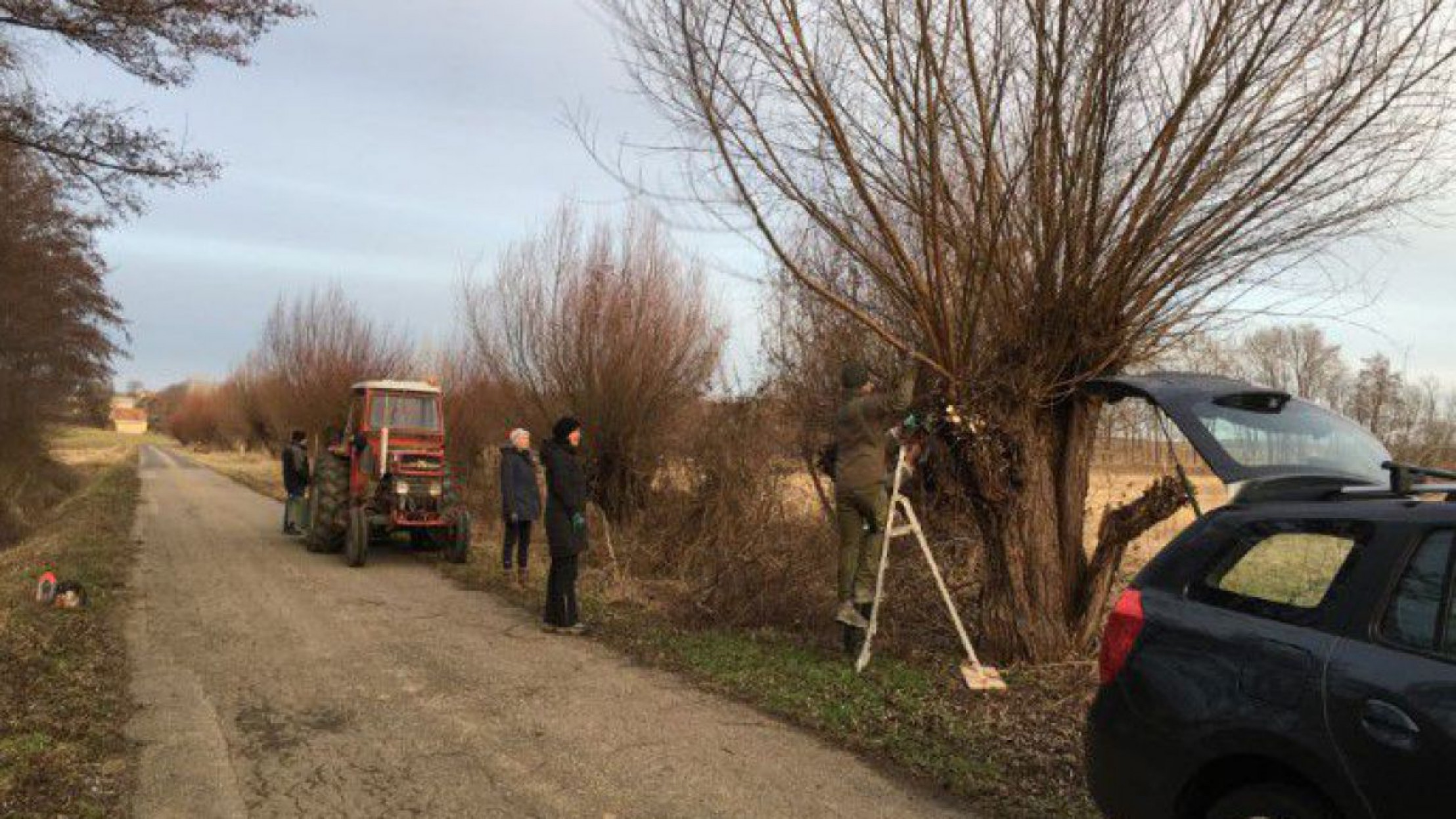 baumschnitt-c-gabi-bassler