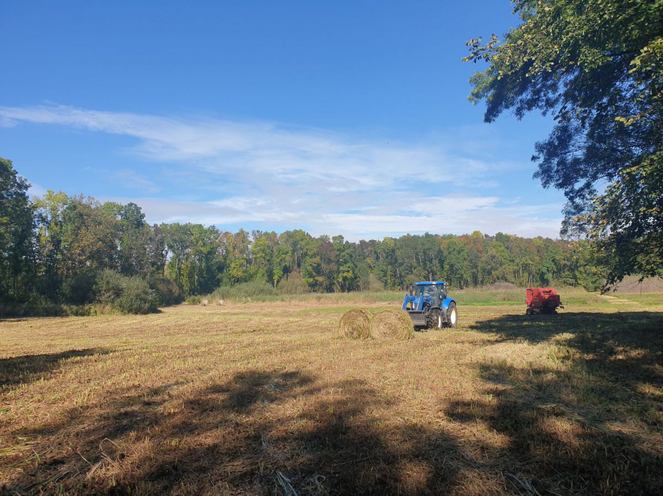 copyright-maschinenring