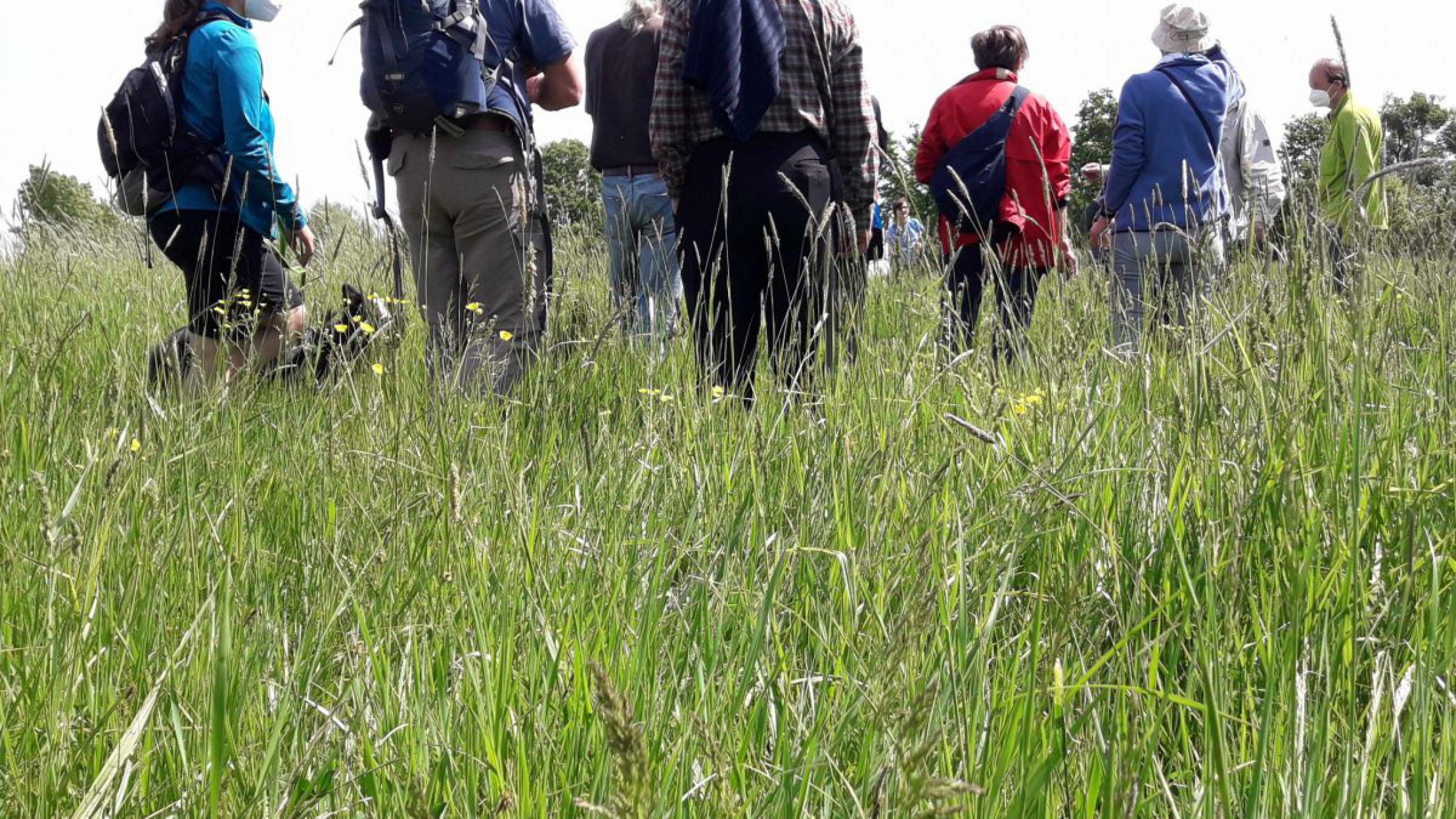 rabensburger-thayaauen-c-martina-kainz-2