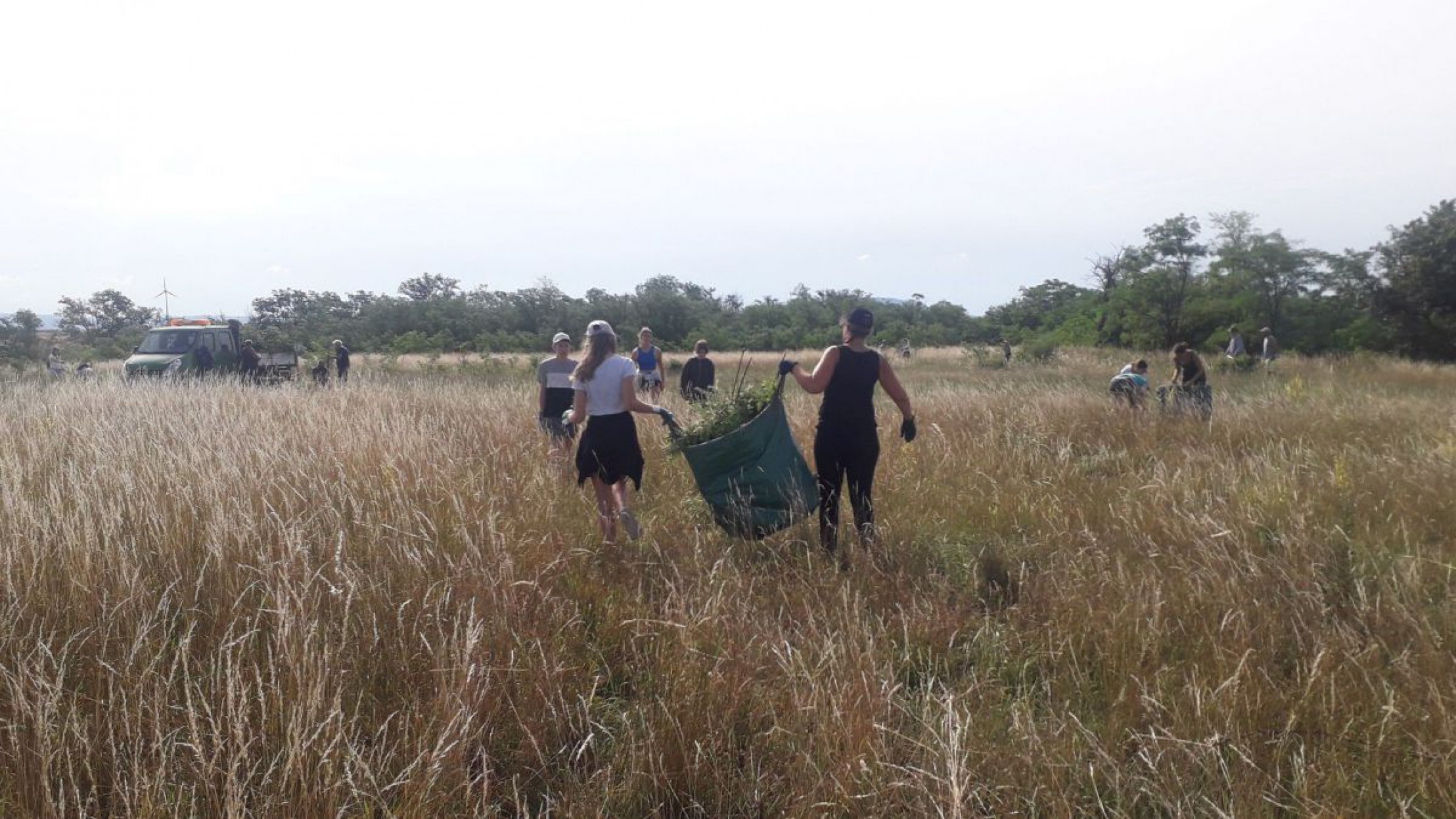 anpacken-am-meisterberg-3