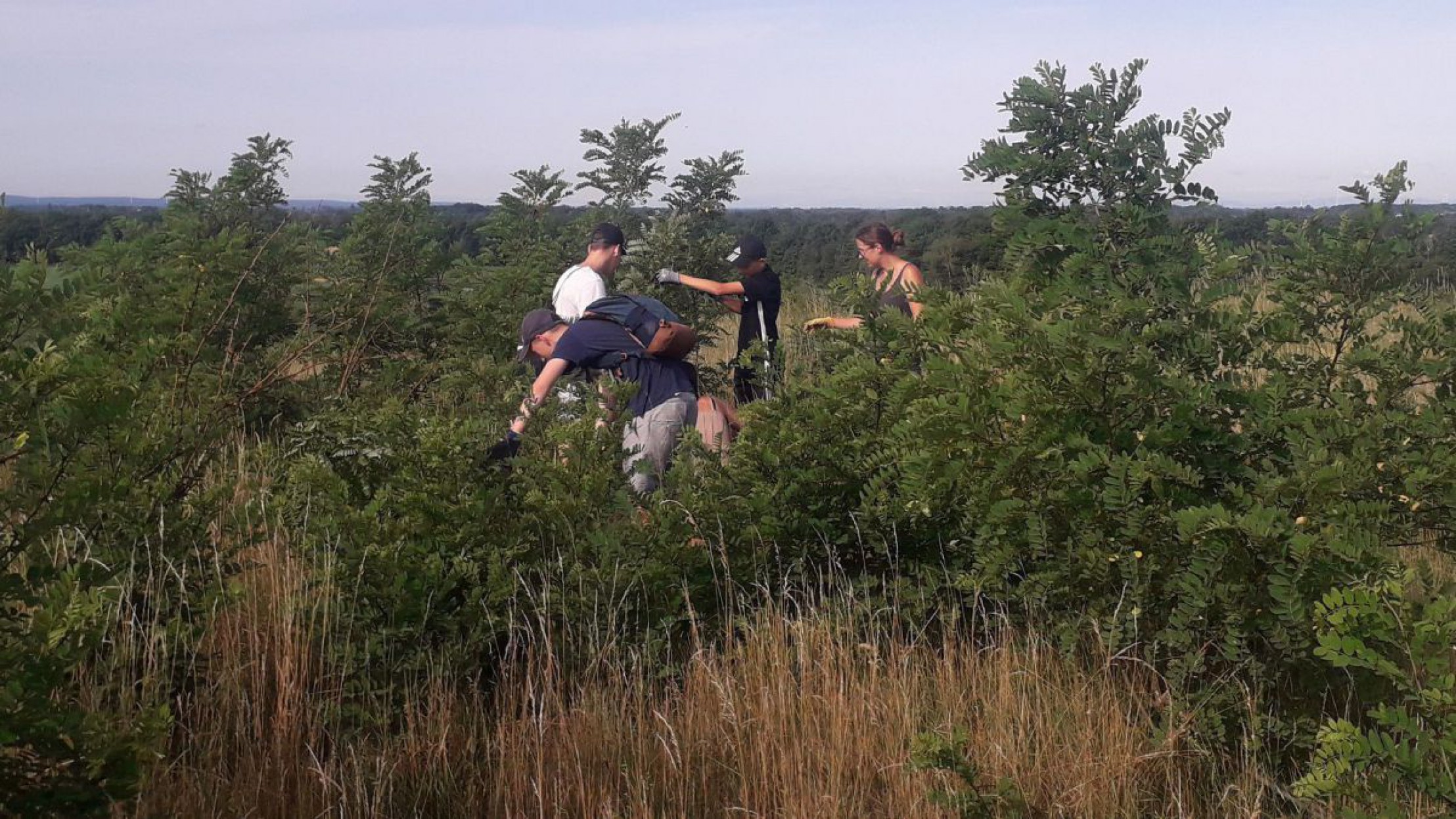 anpacken-am-meisterberg-2