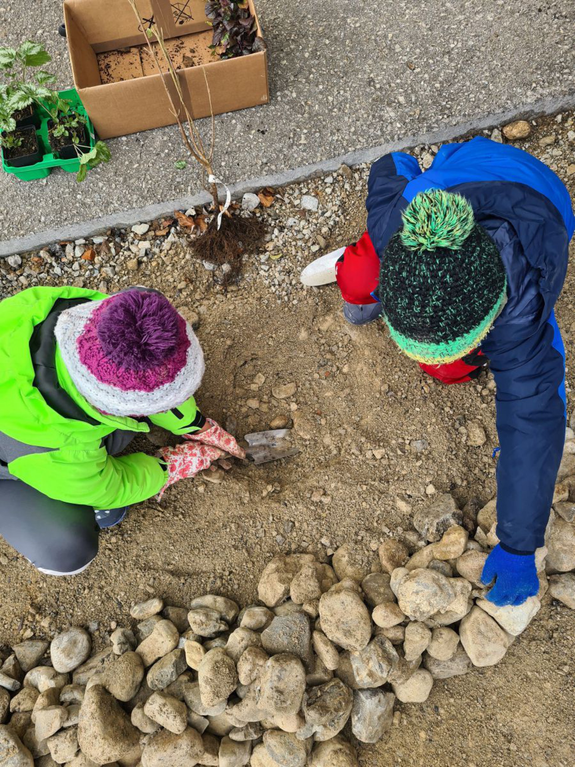 pflanzwerkstatt-gaming