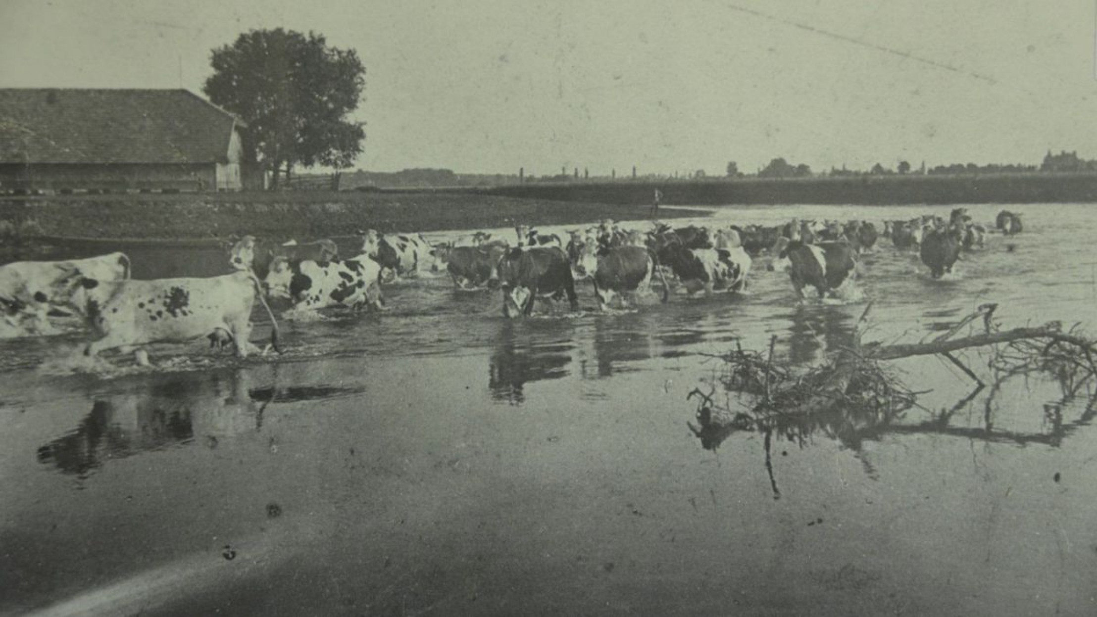 ehemalige-viehtrieb-c-museum-rabensburg-web