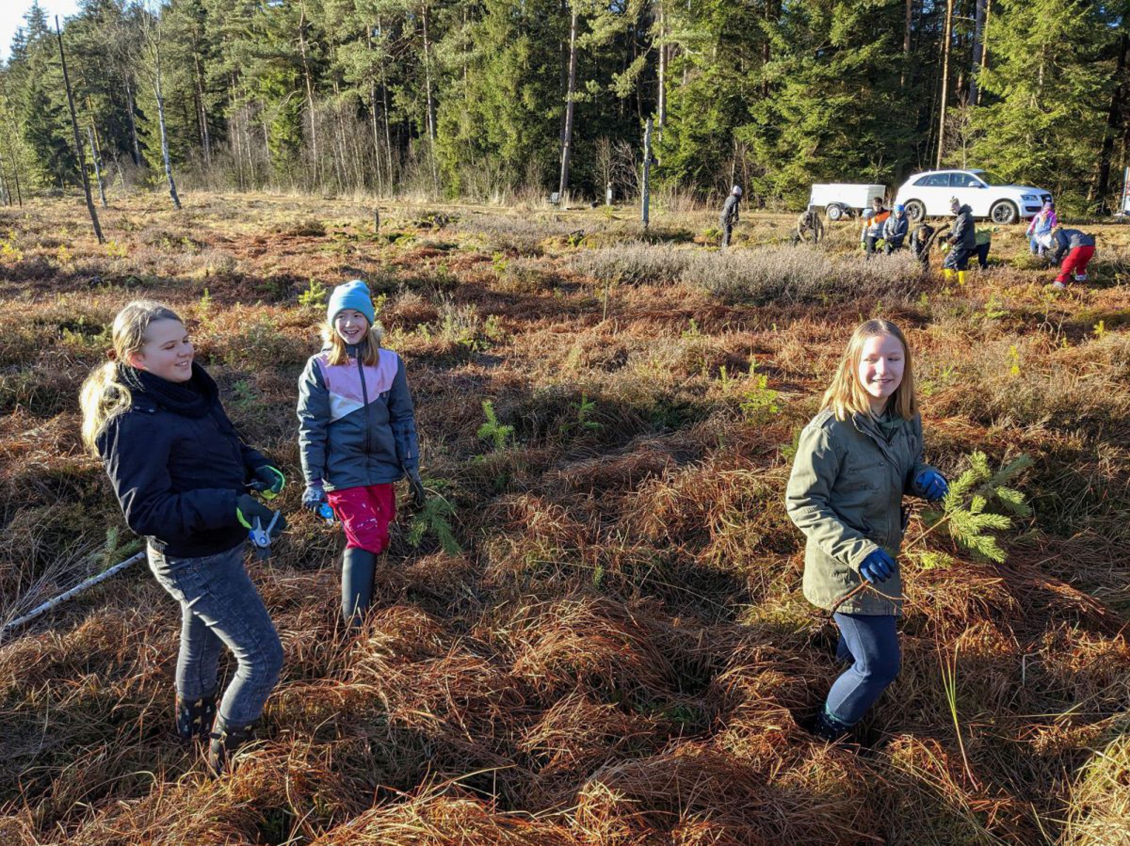 pflegeeinsatz-heidenreichsteiner-moor-1