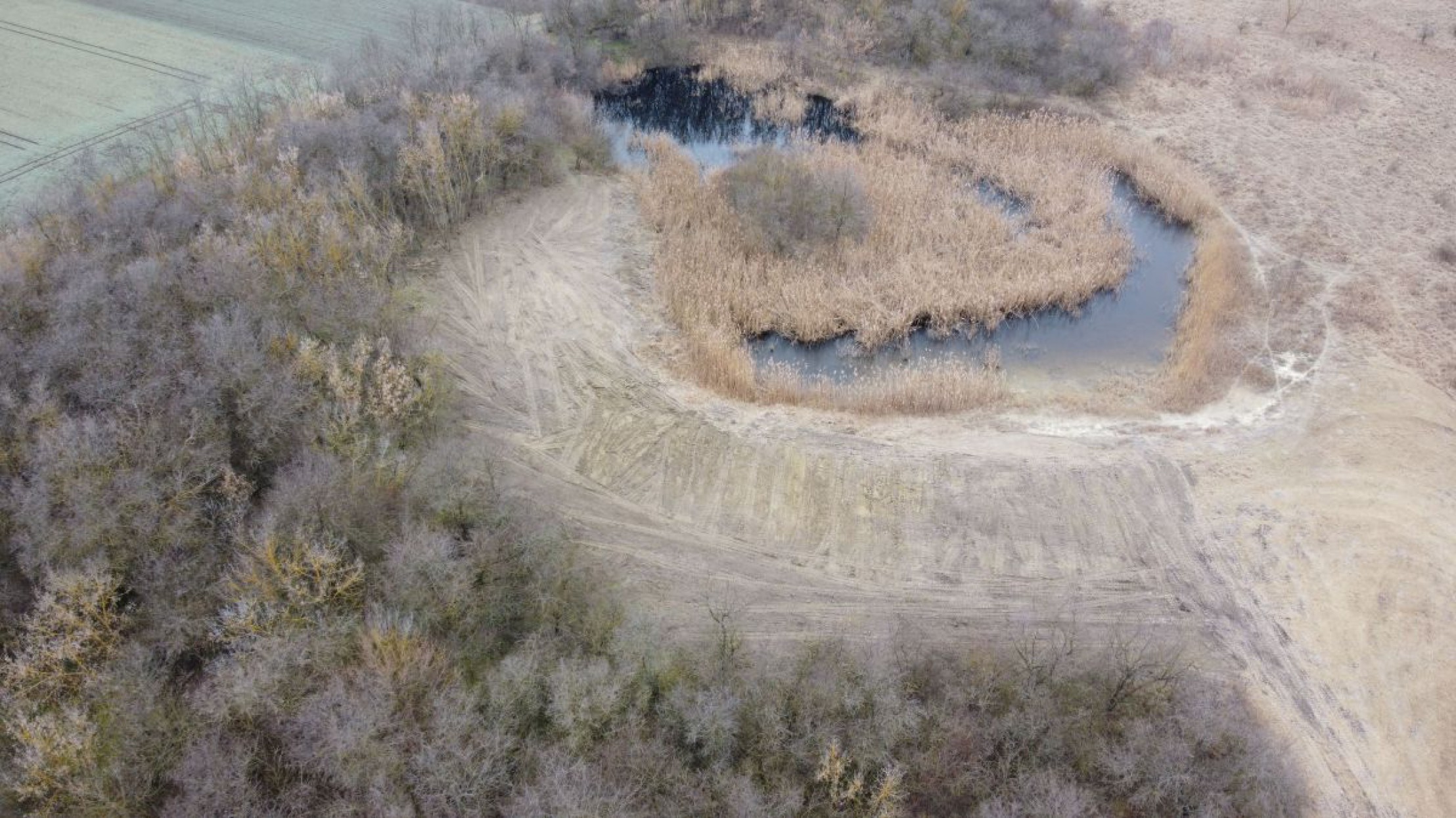 Rodung der &Ouml;lweiden auf der Saliterweide bei Zwingendorf