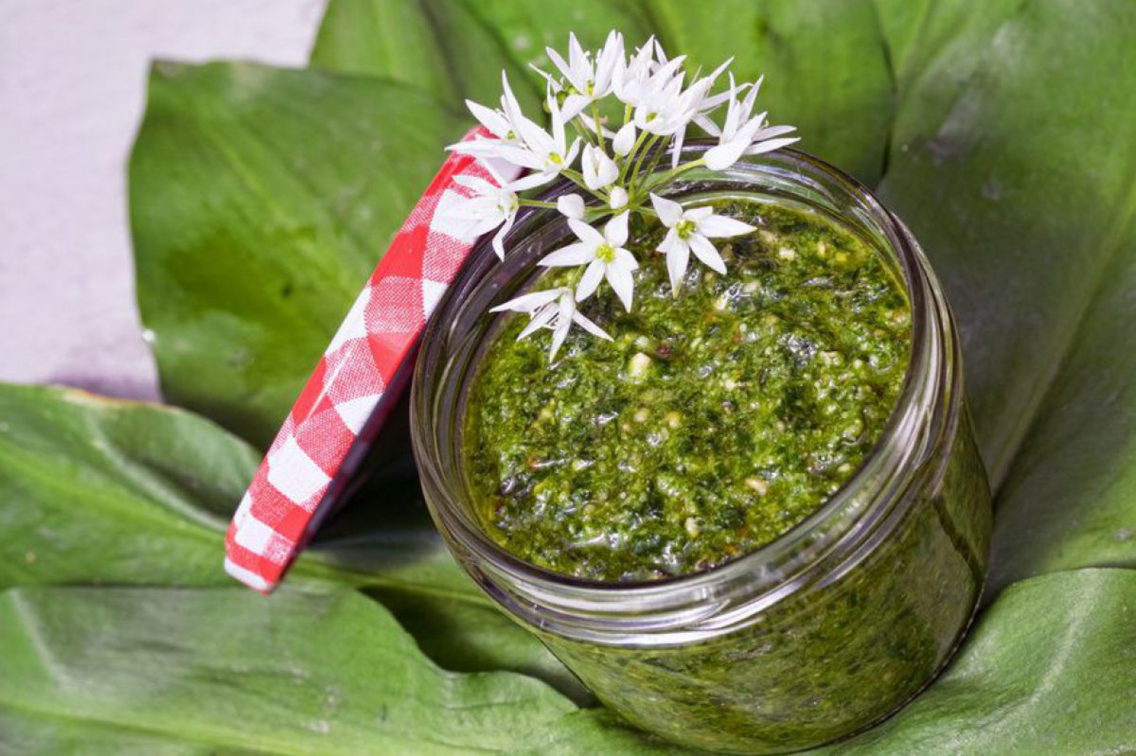 B&auml;rlauchpesto im Glas mit B&auml;rlauchbl&uuml;te