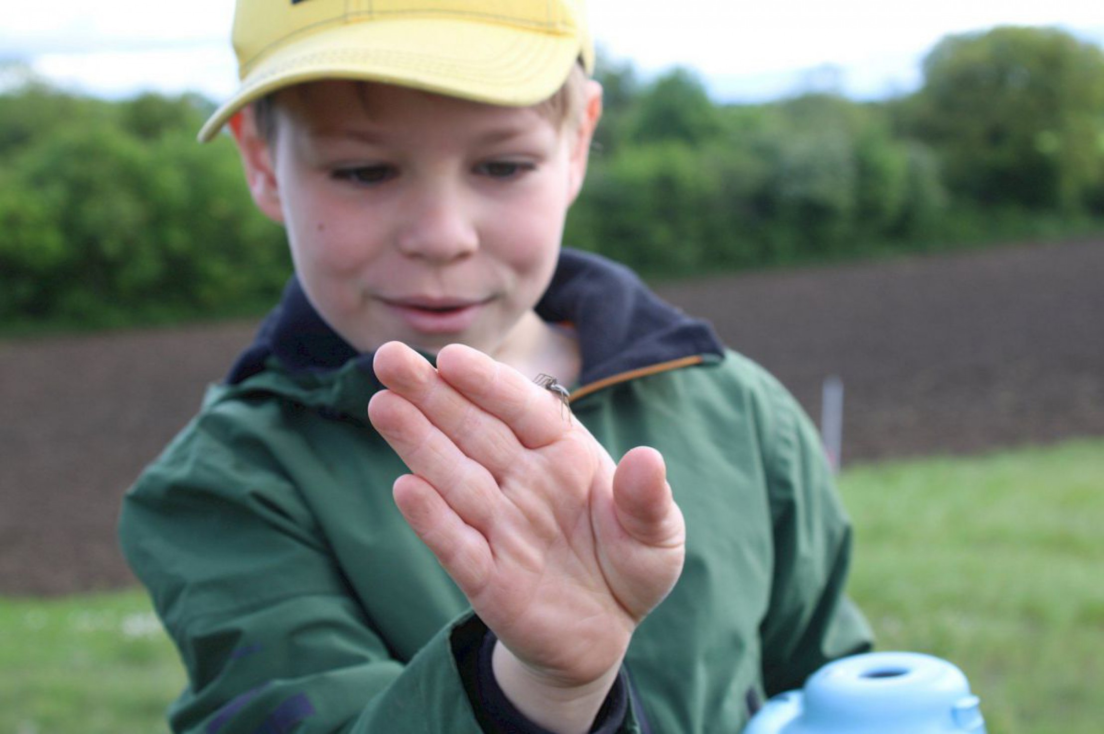 Kind beobachtet ein Insekt, das auf seiner Hand sitzt.