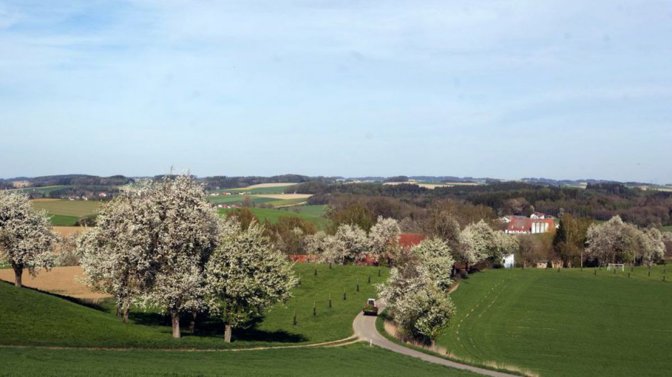 Landwirtschaftlich gepr&auml;gte Landschaft mit bl&uuml;henden Obstb&auml;umen, Dorf mit Kirche, blauer Himmel