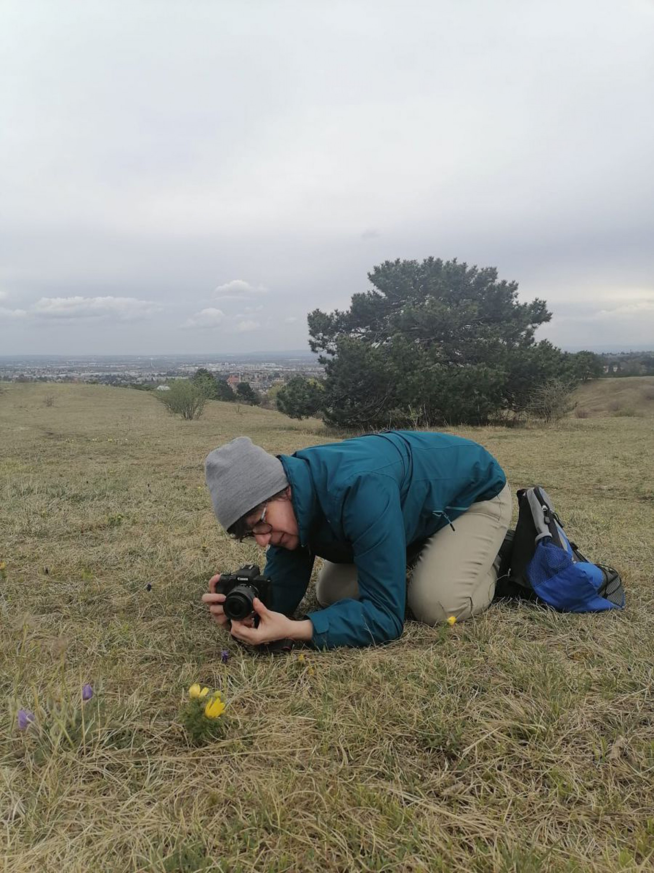 Person kniet mit einer Kamera vor einer Pflanze und fotografiert. Im Hintergrund ist ein Busch zu sehen, dar&uuml;ber wolkenverhangener Himmel.