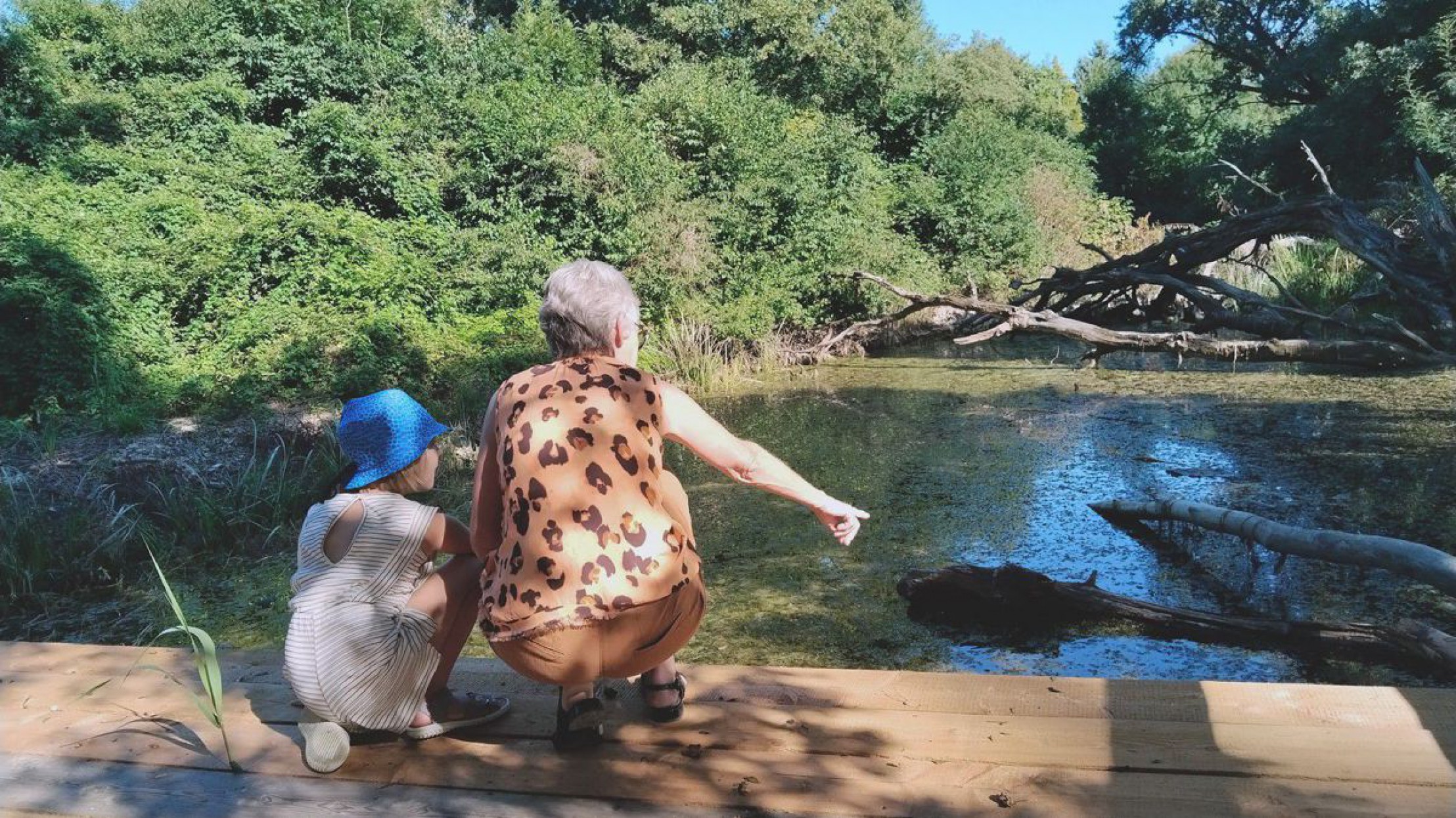 nationalpark-donau-auen-beobachtungsplattform-c-erich