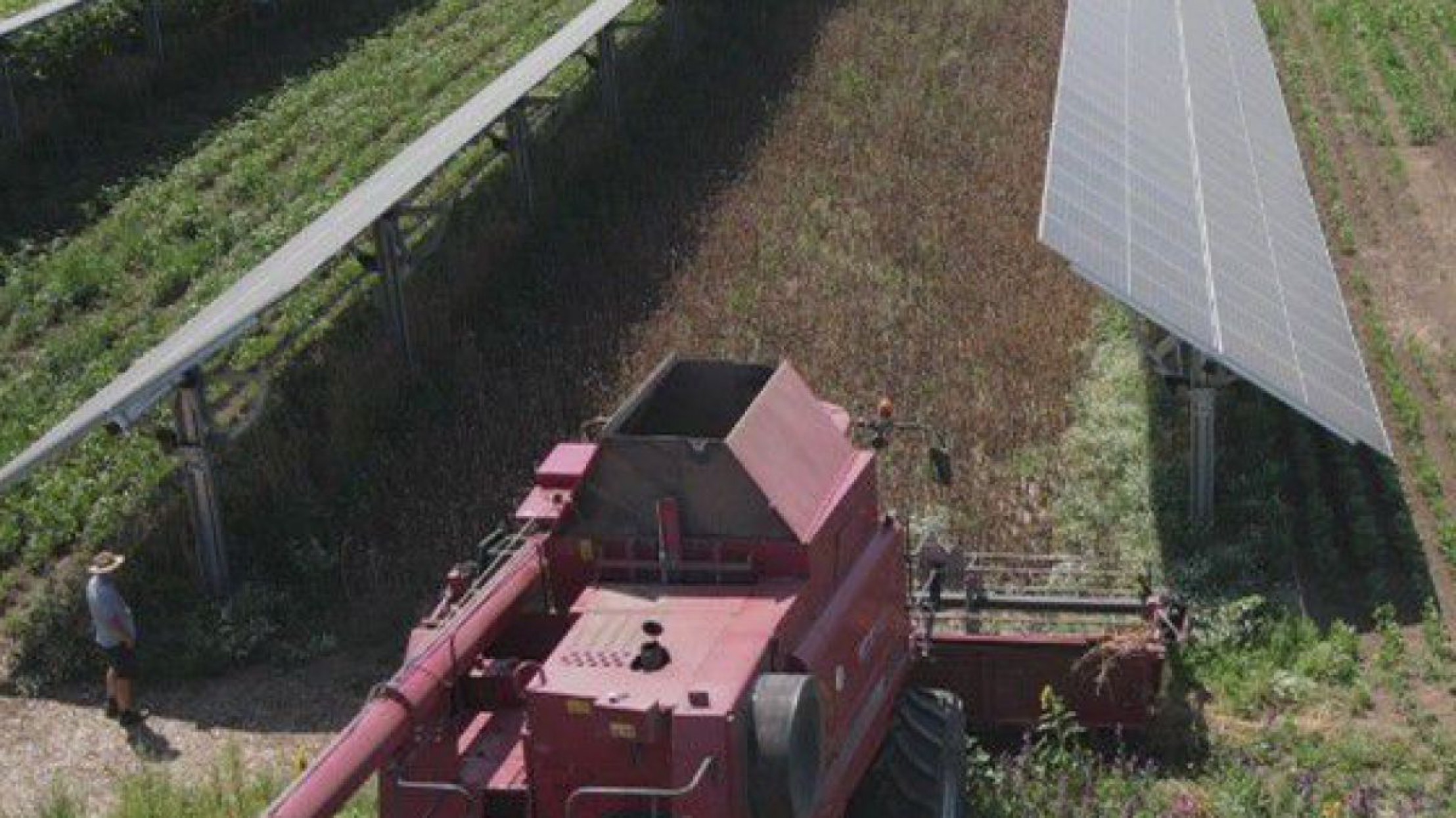 Landwirtschaftliche Maschine zur Bearbeitung des Feldes auf einer Agri-PV-Anlage