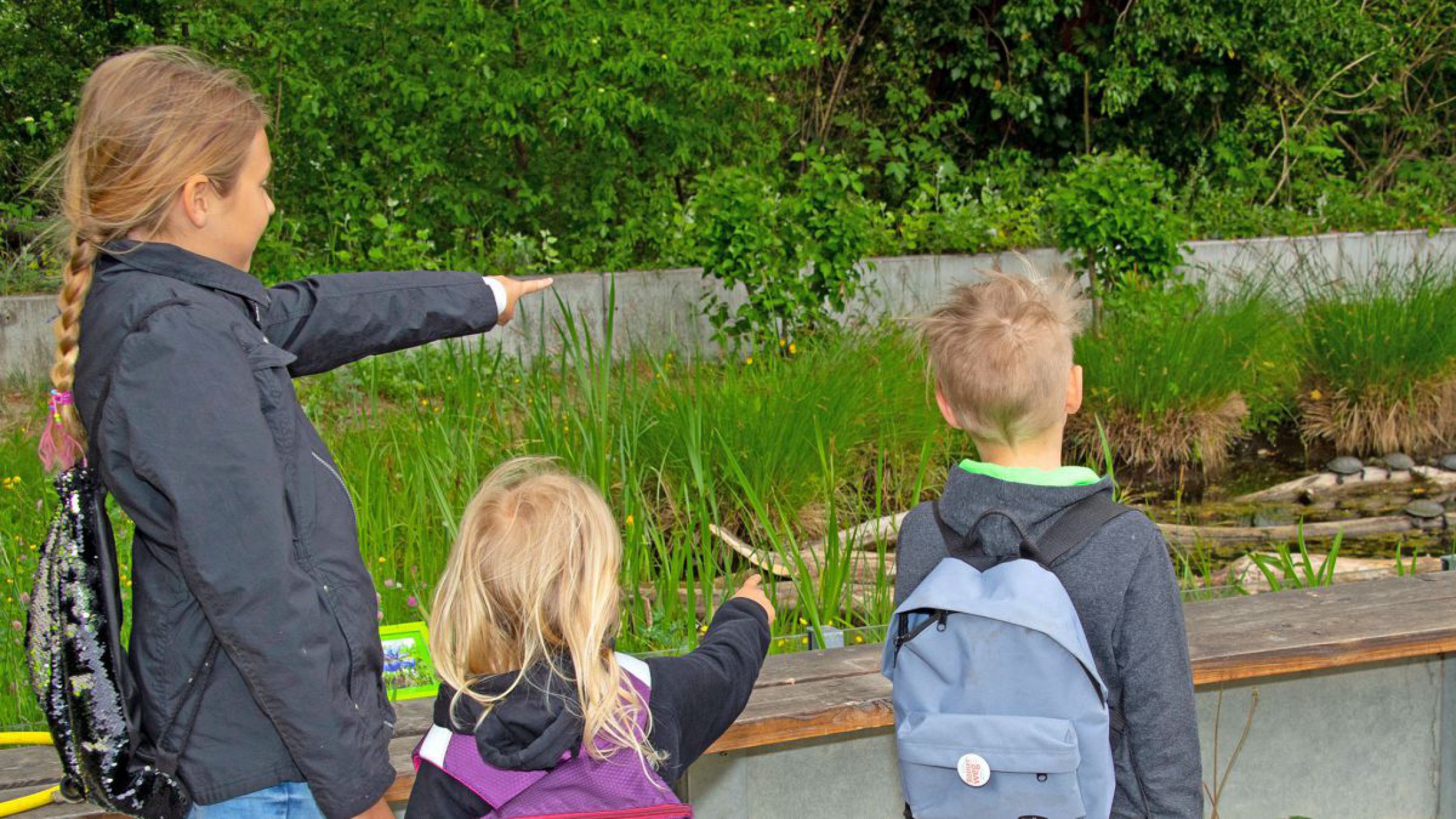 Kinder sehen sich das Gehege der Sumpfschildkr&ouml;ten im Schloss Orth im Nationalpark Donau-Auen an.