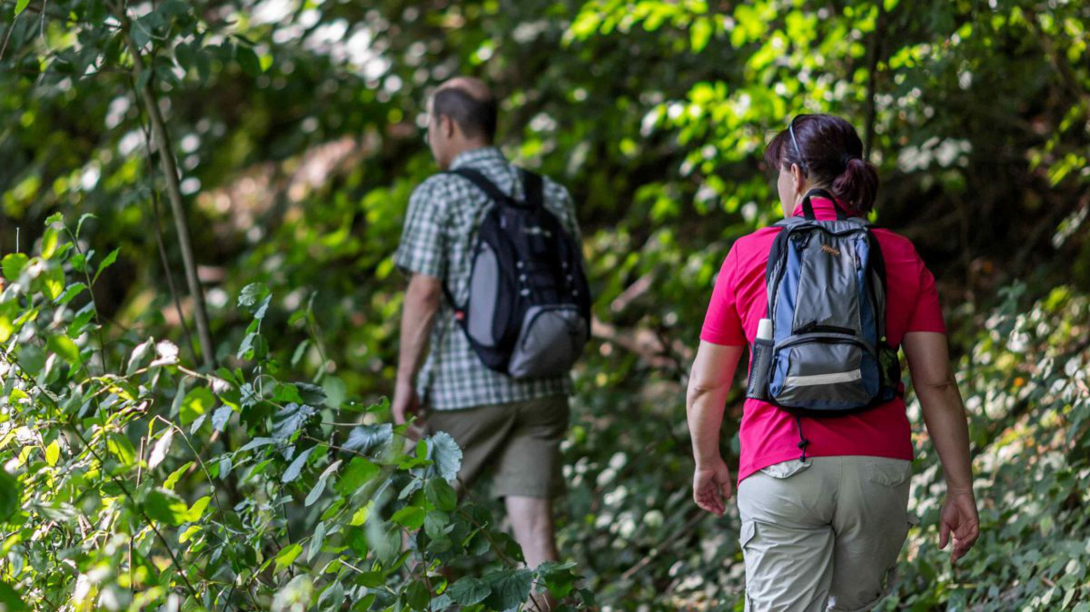 Ein Paar wandert durch das dichte Gr&uuml;n im Nationalpark Thayatal.