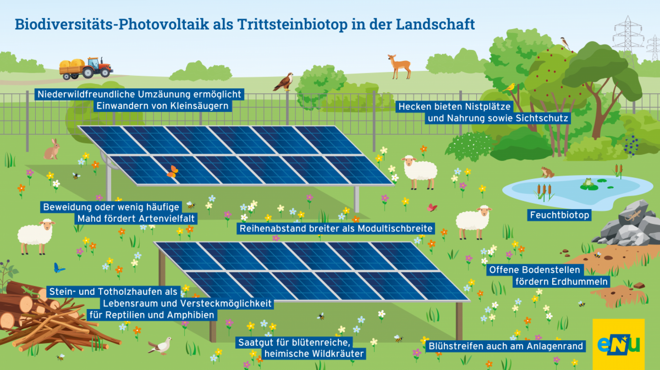 Neue Informationsgrafik der eNu zu Biodiversit&auml;ts-Photovoltaik als Trittsteinbiotop in der Landschaft