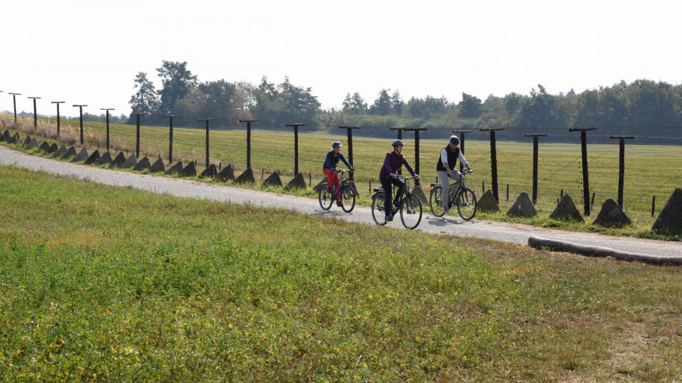 Radfahrer entlang des Eisenernen Vorhangs im Nationalpark Thayatal