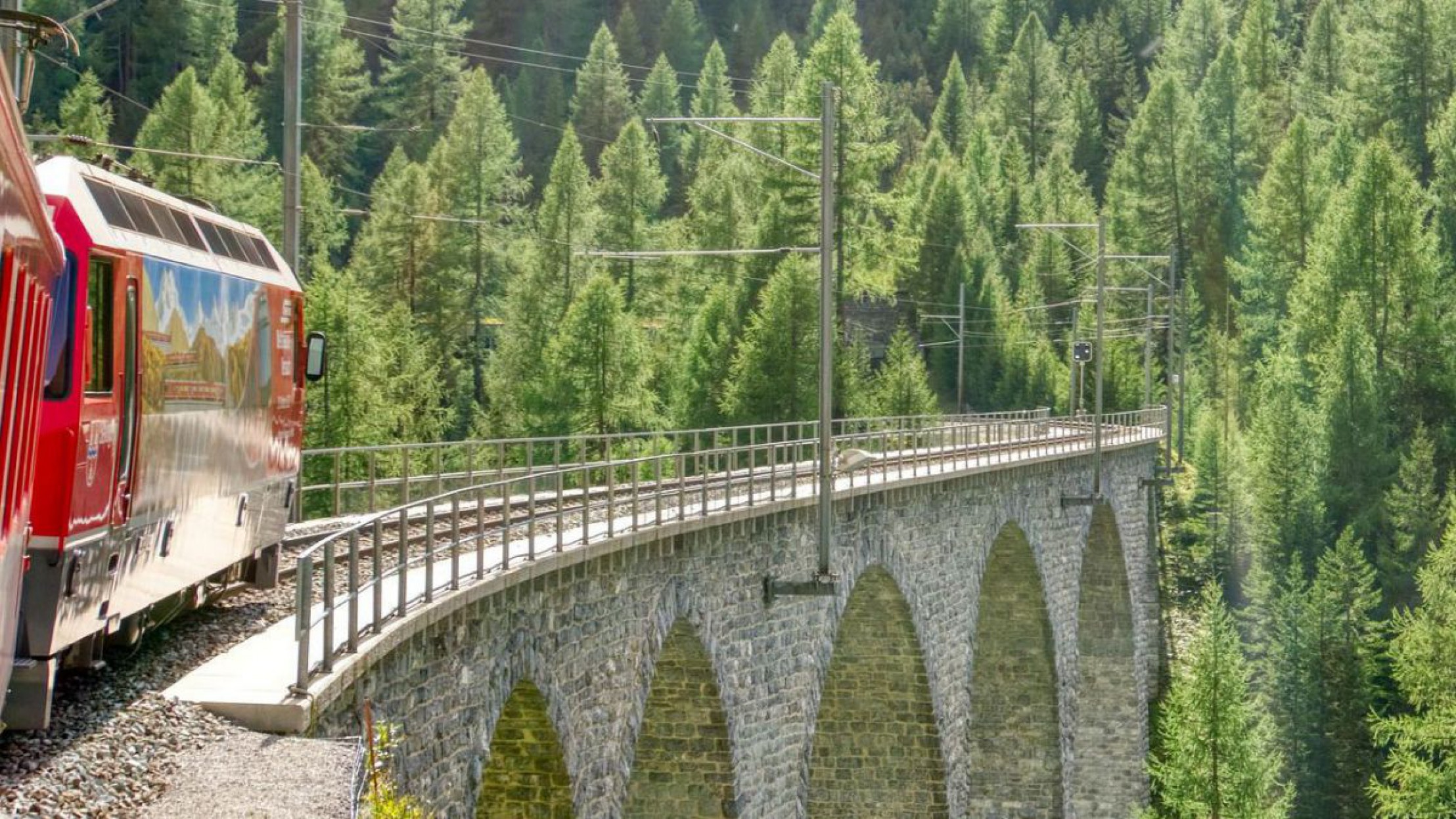 Zug f&auml;hrt auf Viadukt durch alpinen Wald