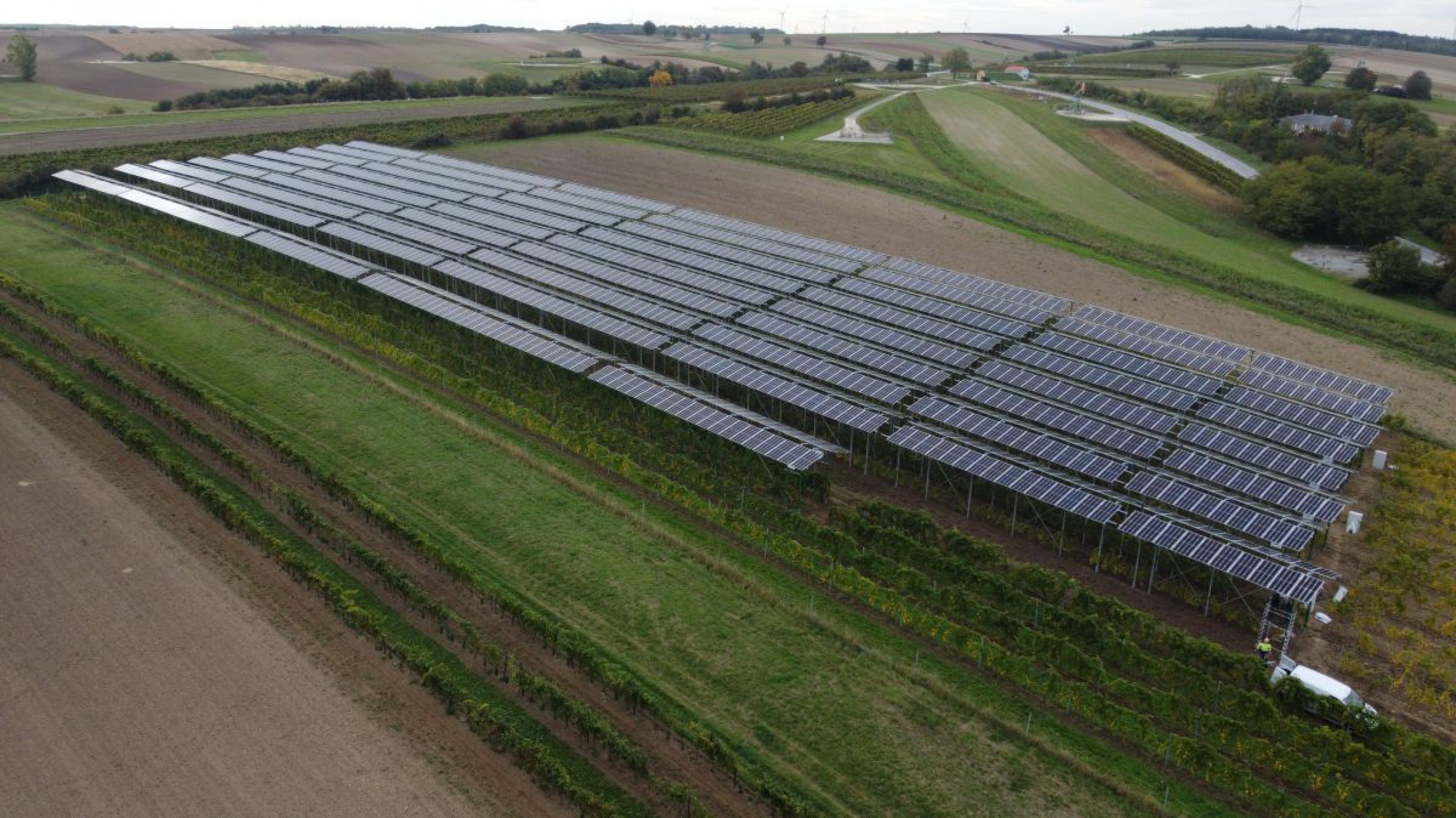 Vino-PV-Anlage aus der Vogelperspektive