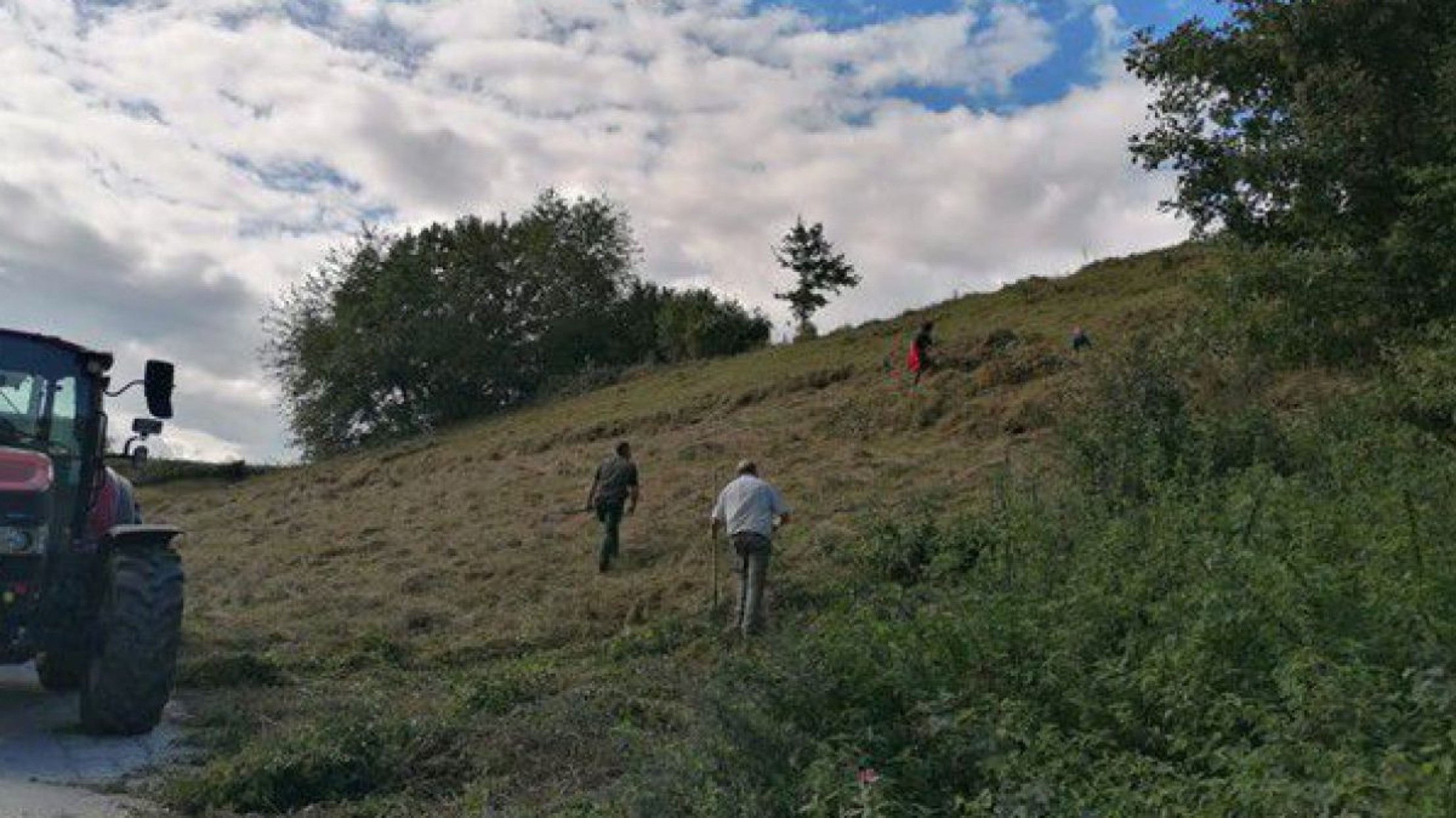 Pflegema&szlig;nahmen auf einer Wiese in Hanglage
