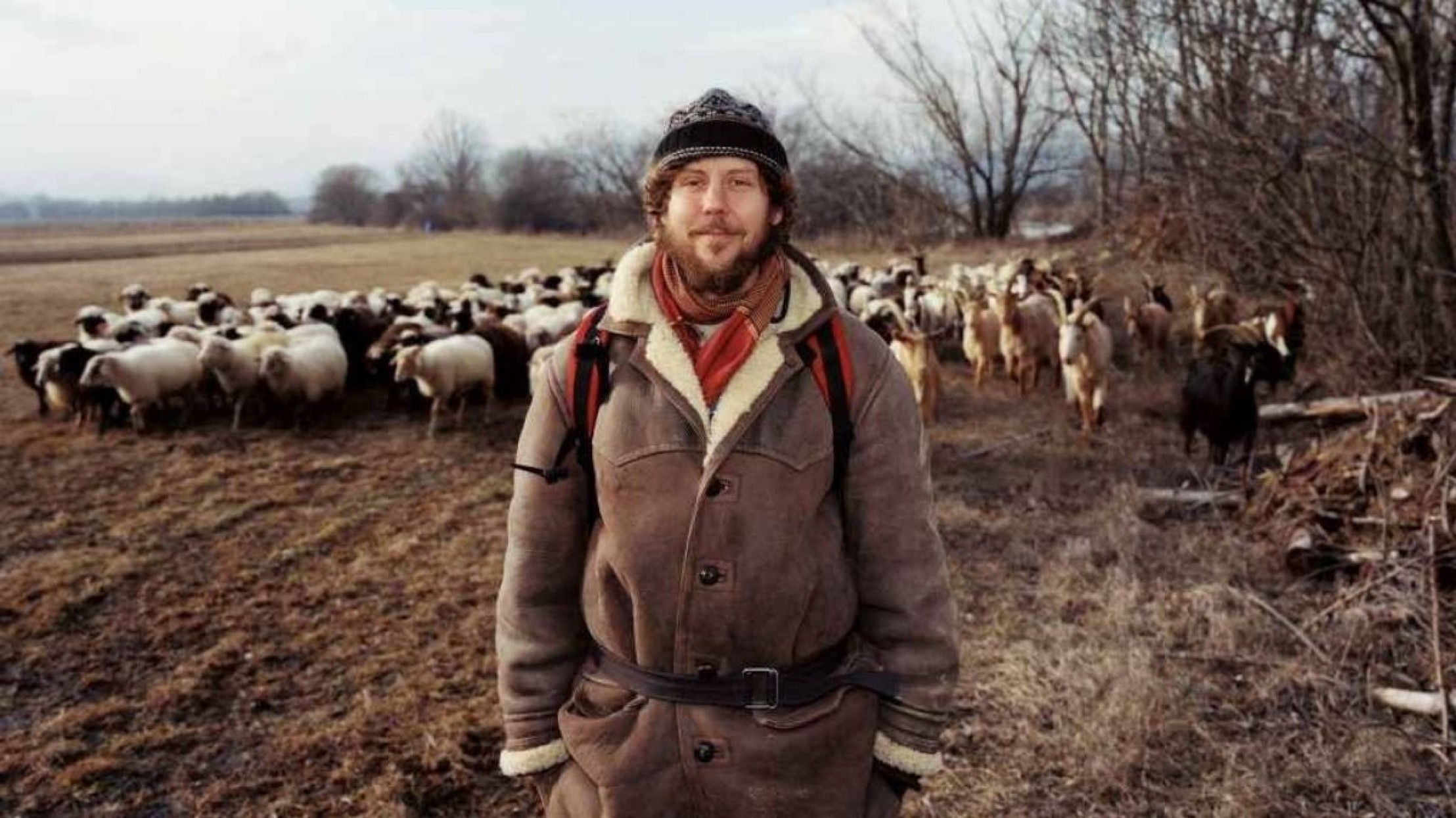 Hirte Stefan Kn&ouml;pfer und seine Schafherde. 
