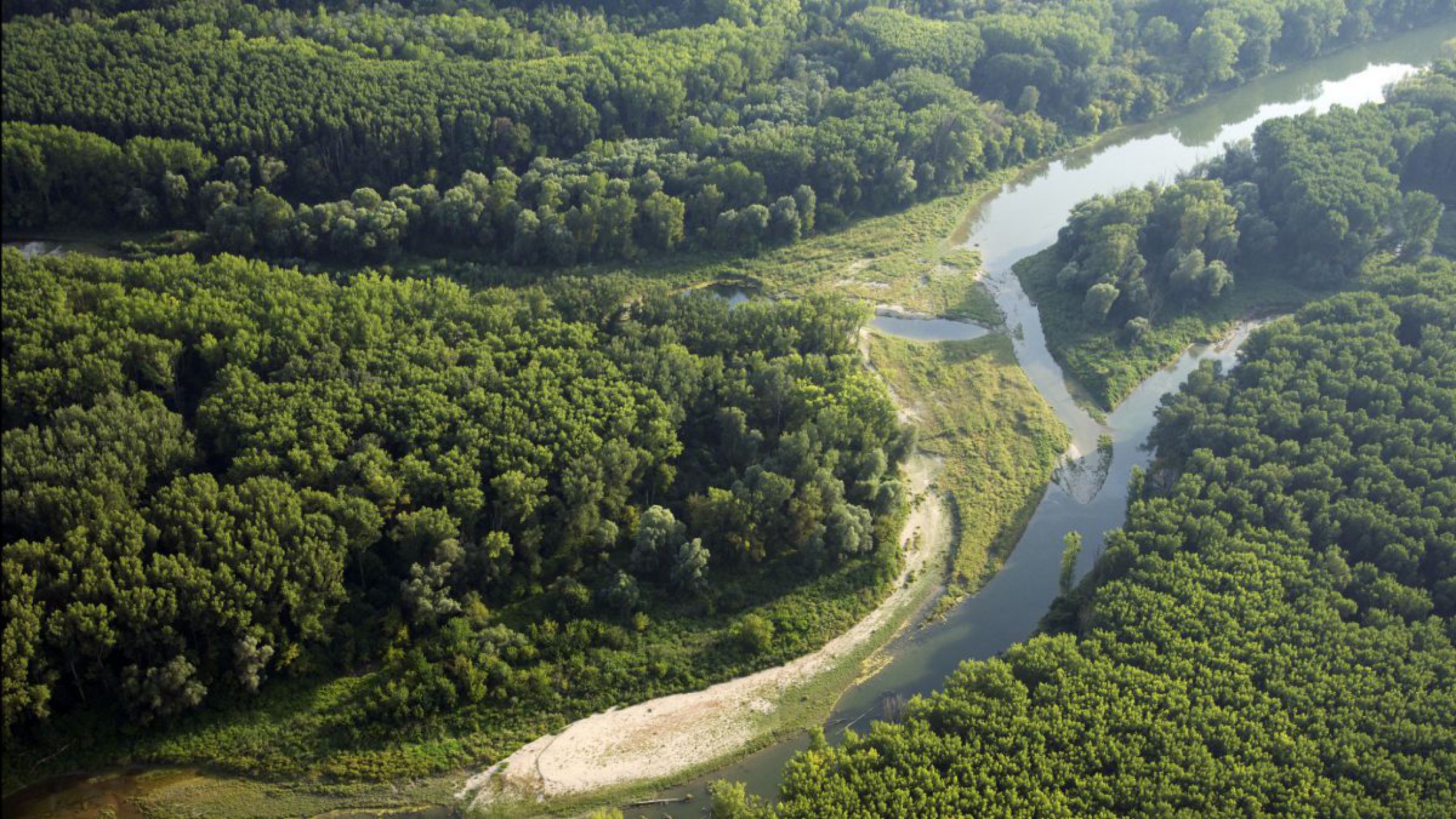 3590_donau-auen1_kovacs