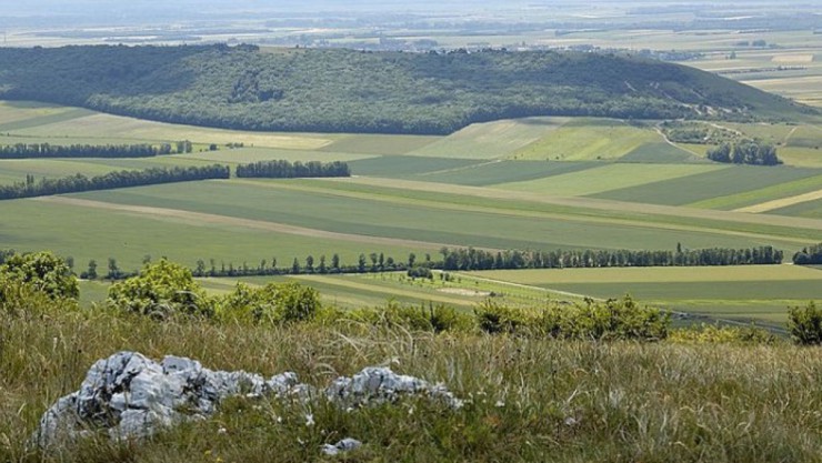 Der Spitzerberg ist im Industrieviertel zu finden.