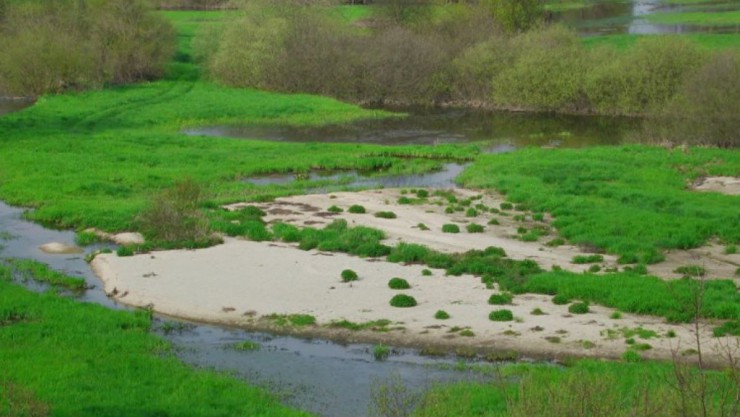as_flusslandschaft_sandbank.JPG