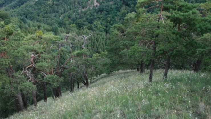 Gurhofgraben_NSauberer