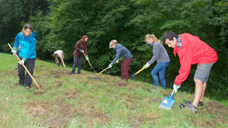 Arbeitseinsatz im Nationalpark Donauauen