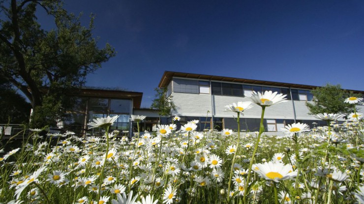 Naturnahes Firmengel&auml;nde